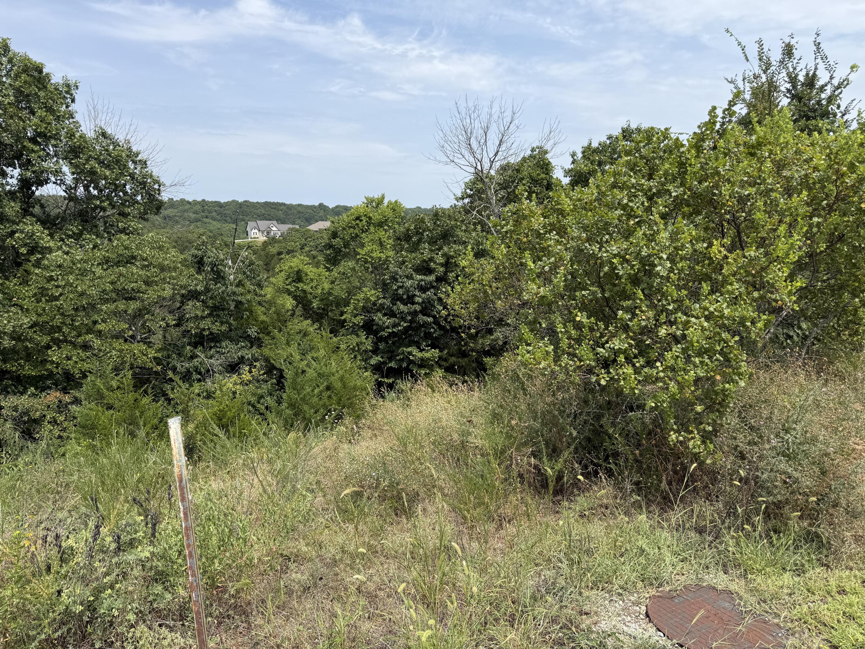Land for sale – 121  Gemstone Drive  Branson West, MO