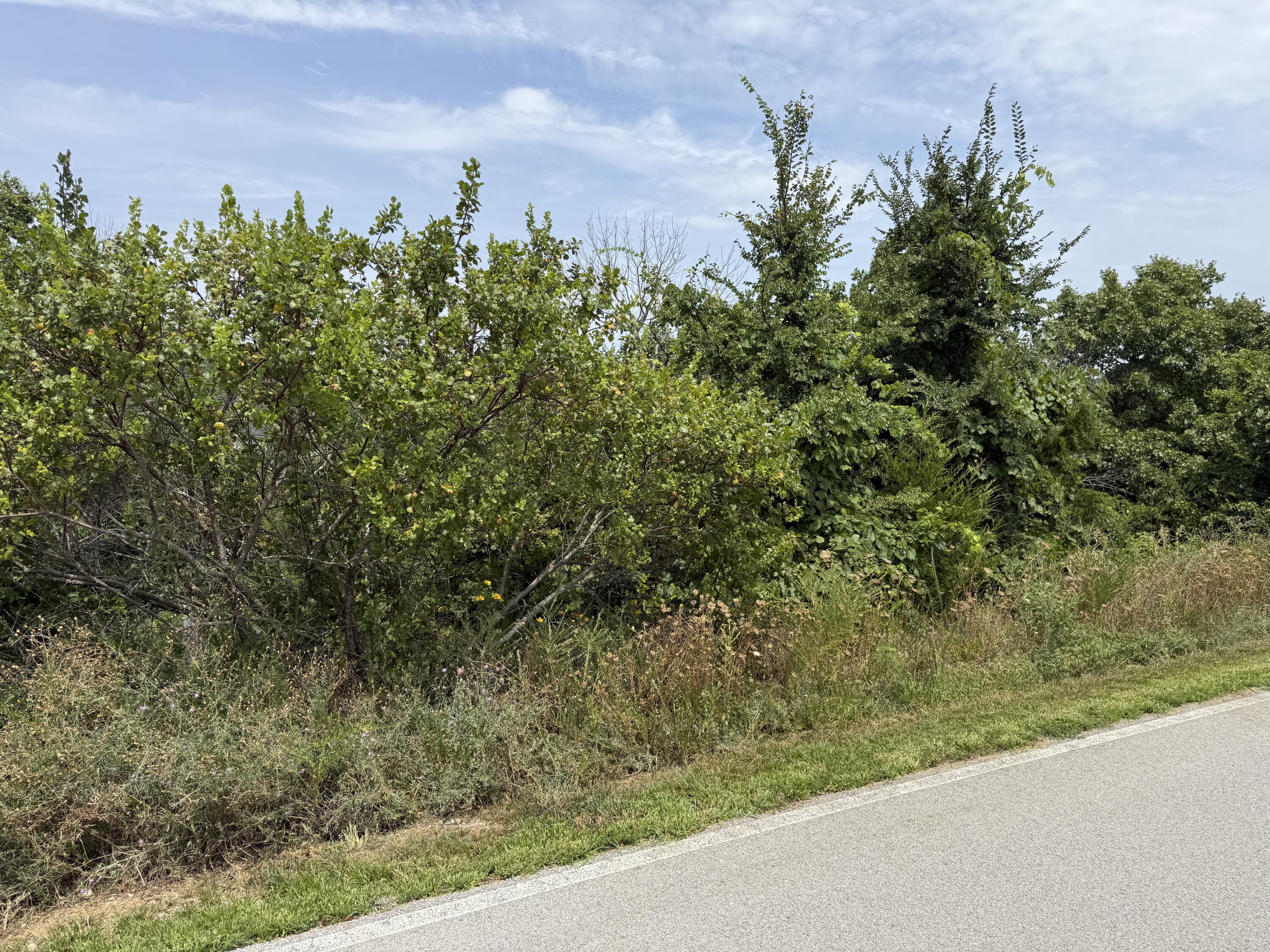 Photo 2 - Land for sale – 121  Gemstone Drive  Branson West, MO