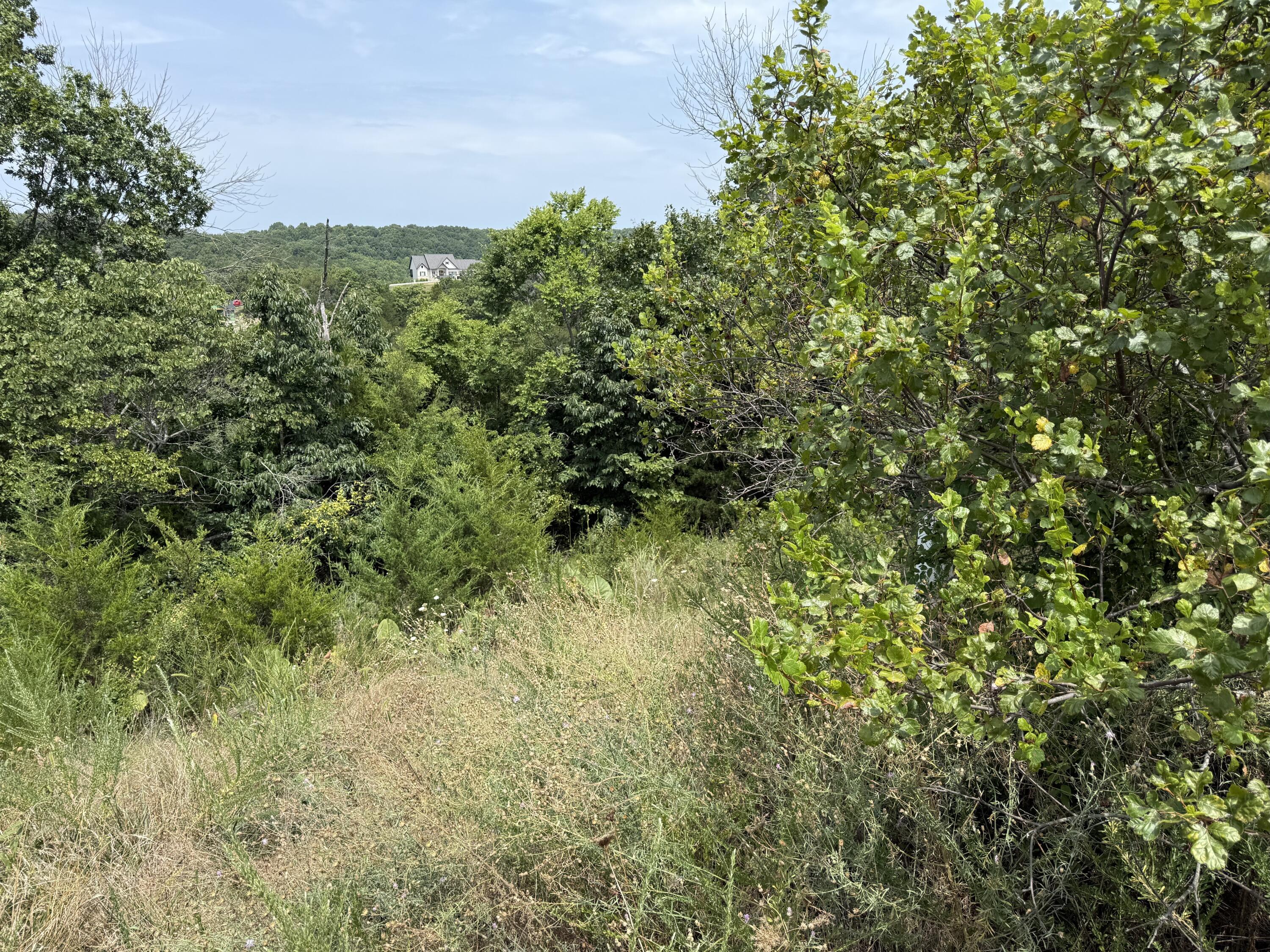 Photo 3 - Land for sale – 121  Gemstone Drive  Branson West, MO