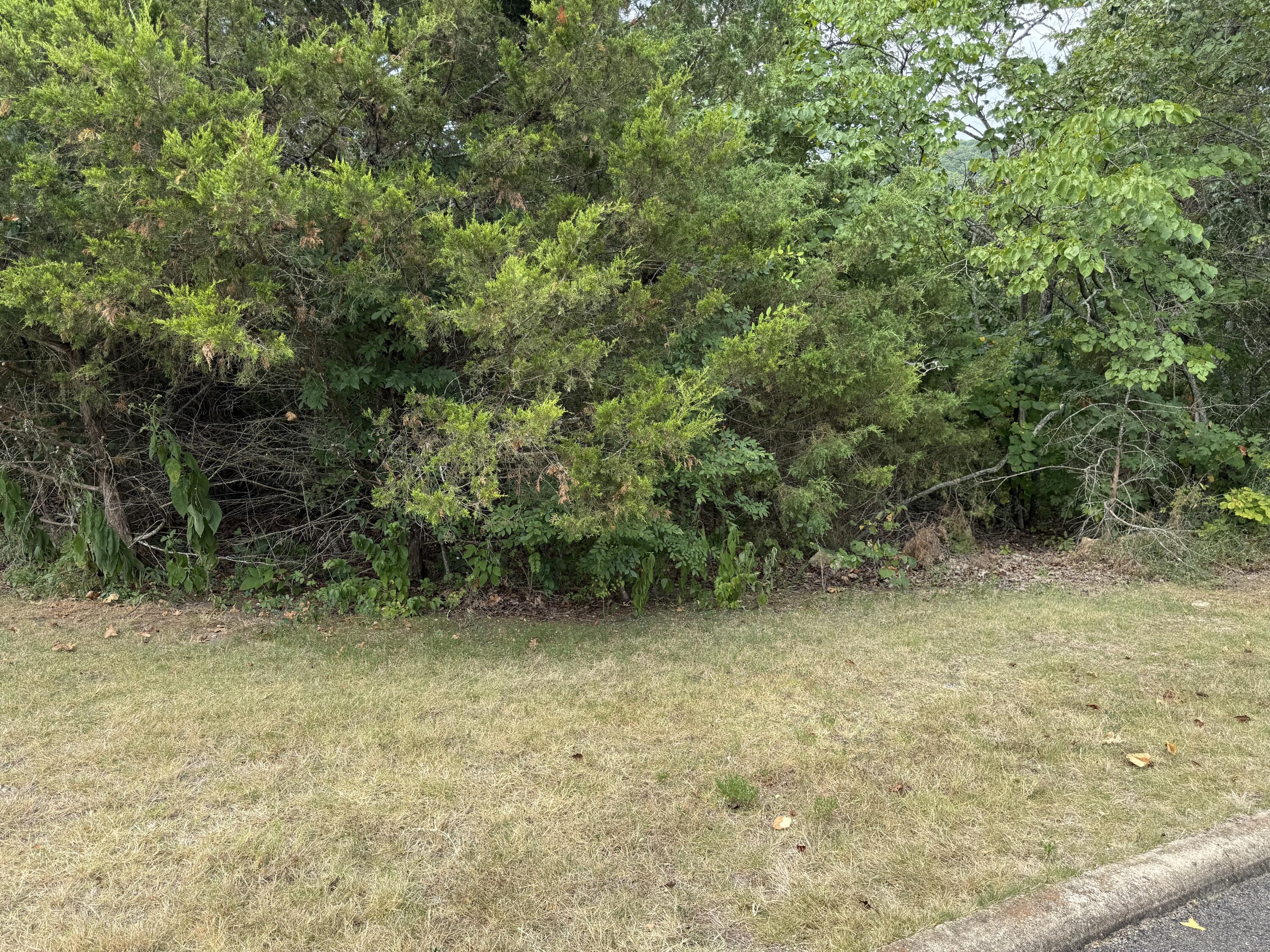Land for sale – 5  Silver Oak Way  Branson West, MO