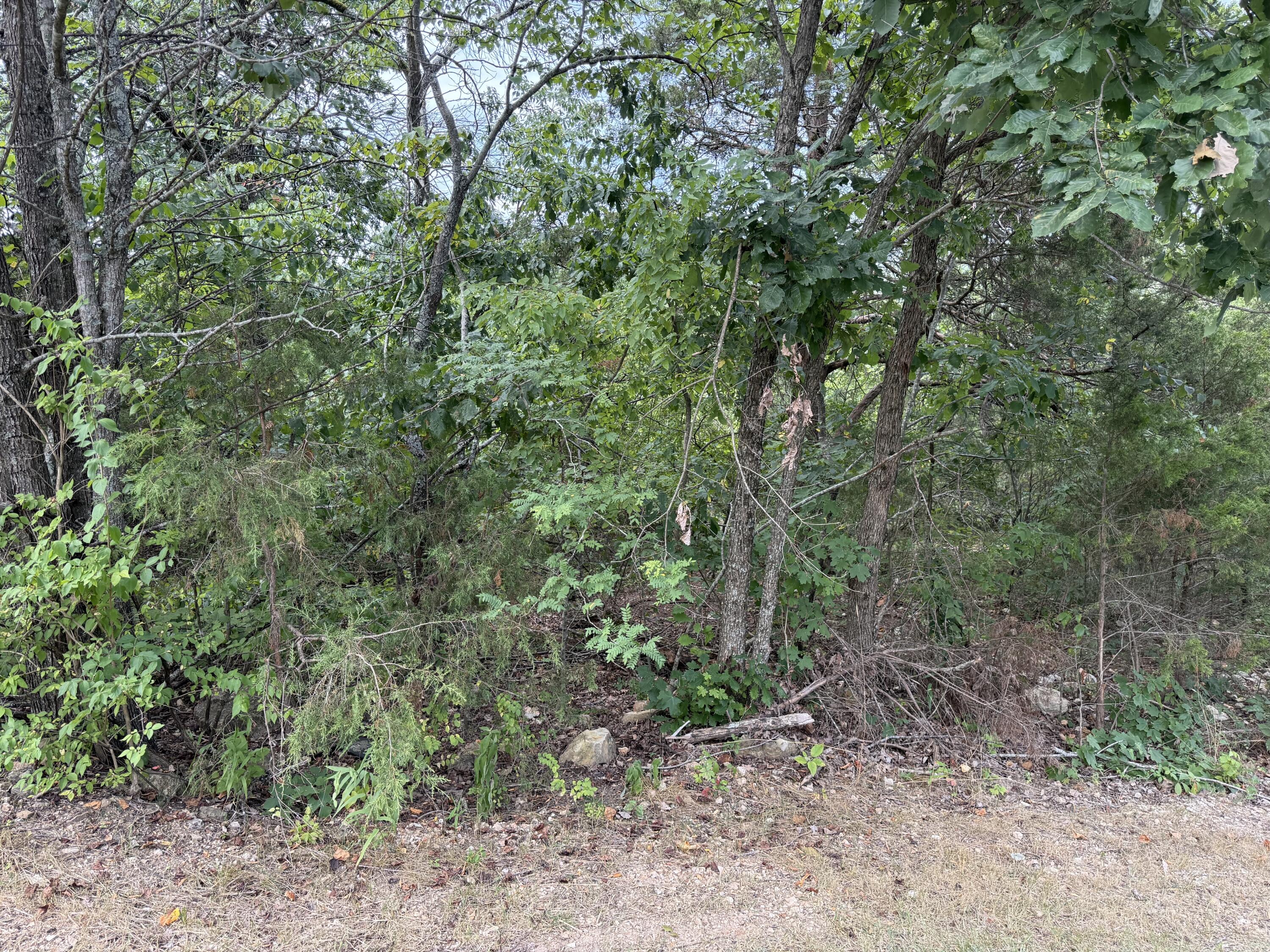 Photo 5 - Land for sale – 5  Silver Oak Way  Branson West, MO