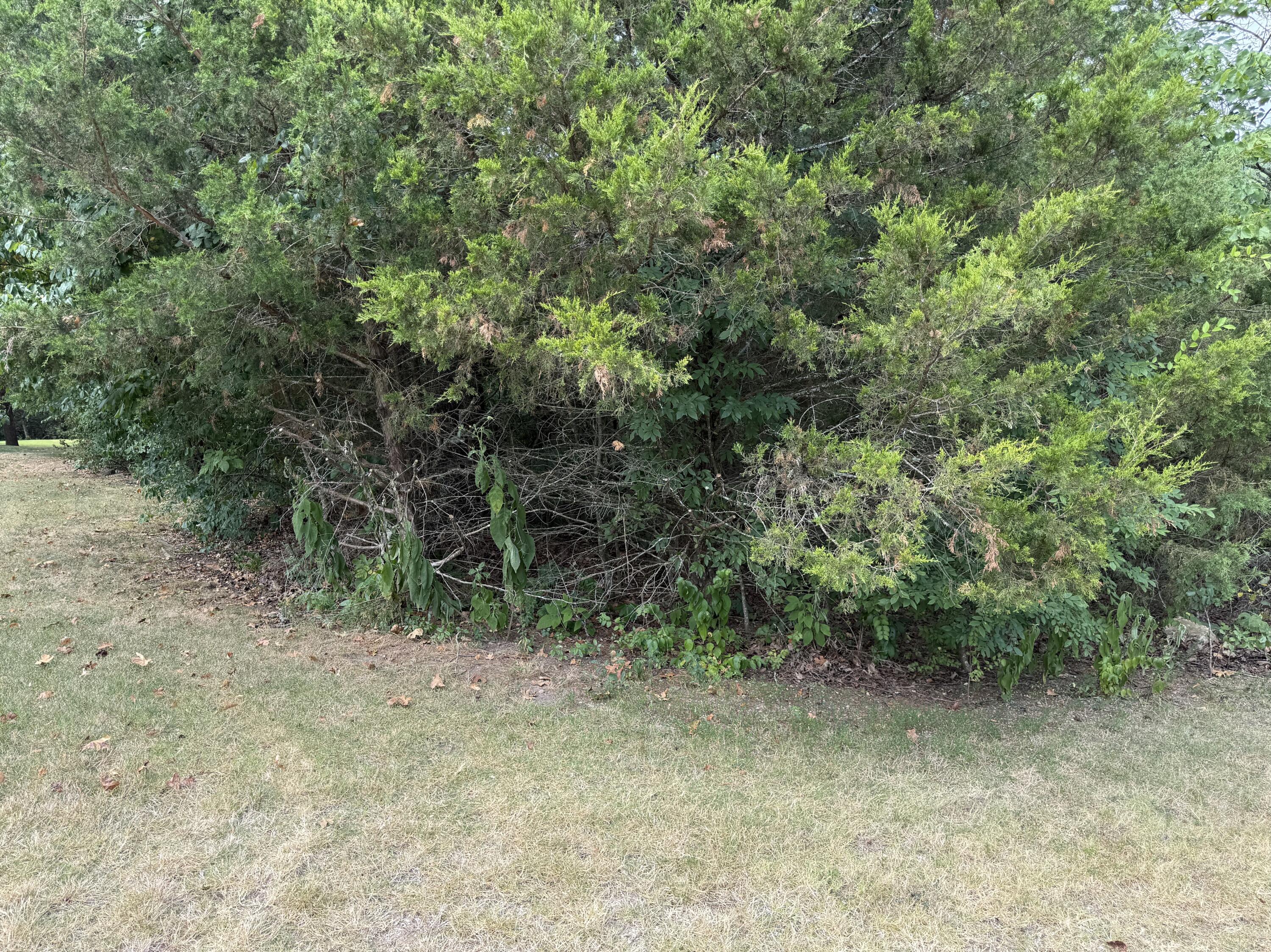 Photo 4 - Land for sale – 5  Silver Oak Way  Branson West, MO