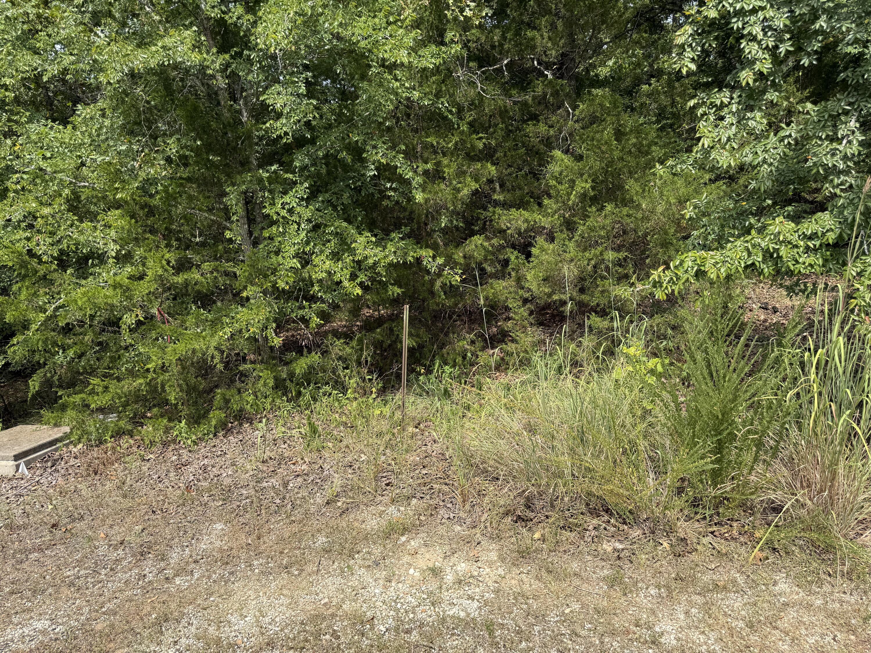 Photo 4 - Land for sale – 55  Cattail Court  Branson West, MO