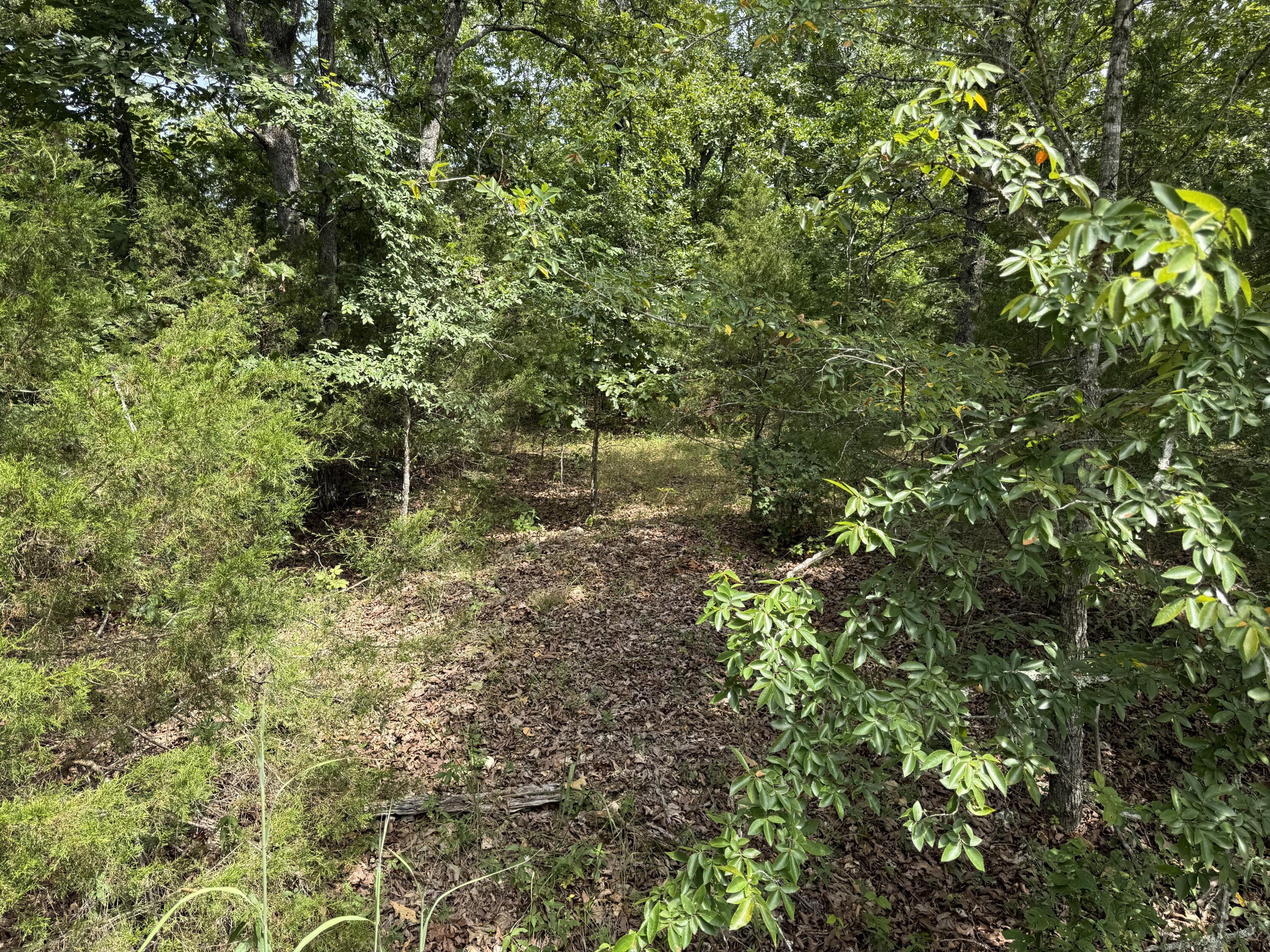 Land for sale – 55  Cattail Court  Branson West, MO