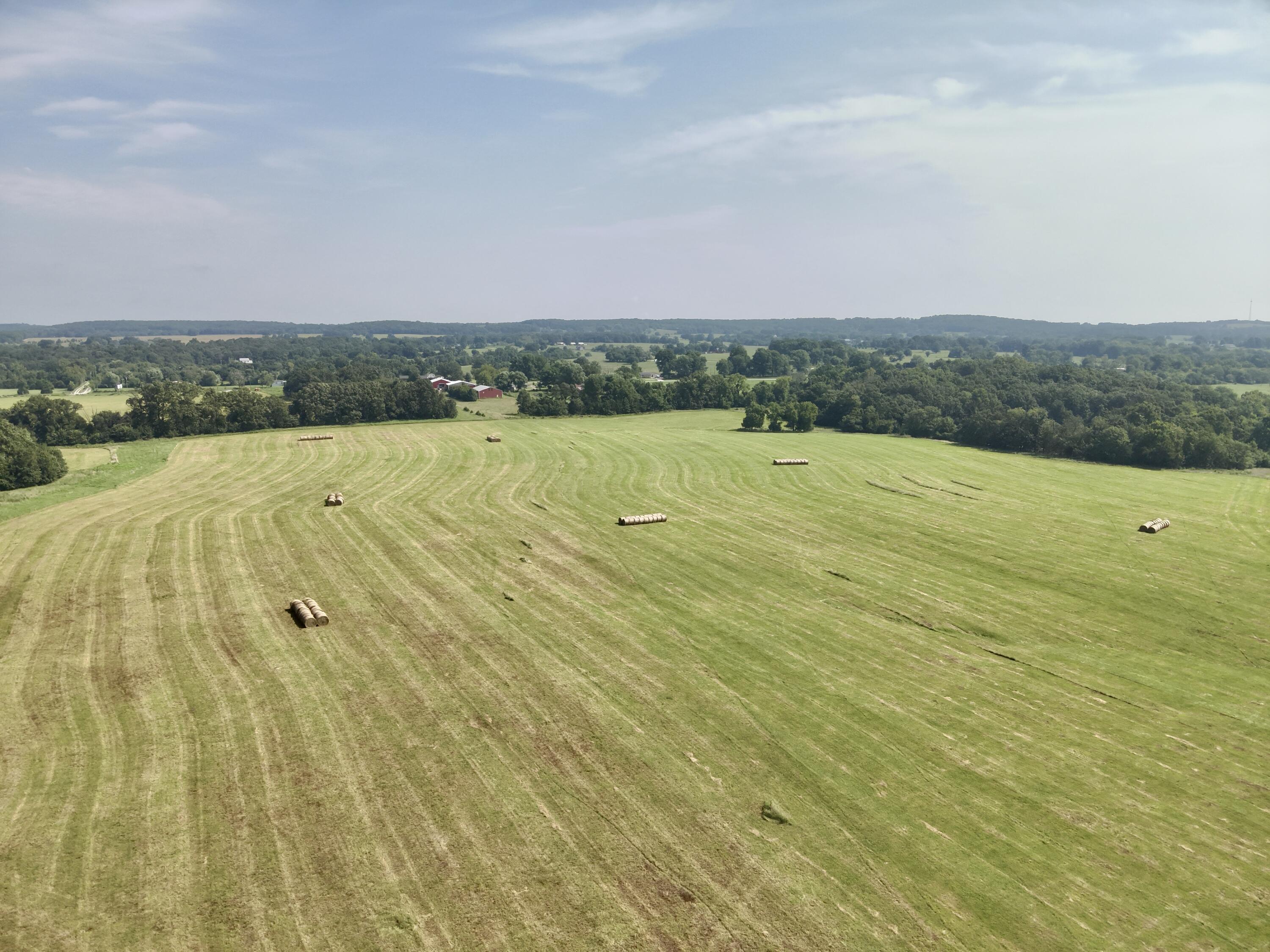 Photo 7 - Land for sale – Lot 28 E 442nd Road  Bolivar, MO