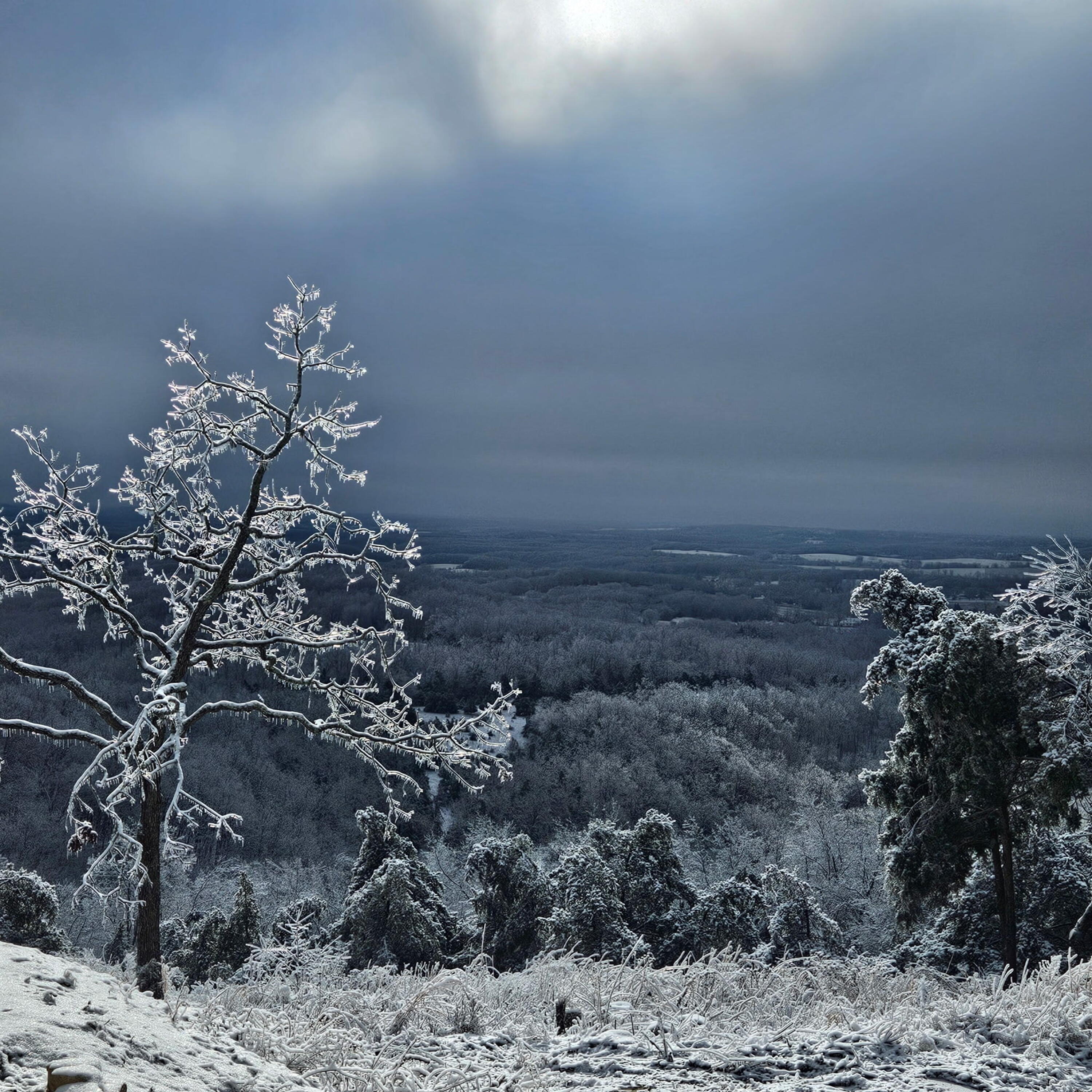 Photo 59 - Residential for sale – 1206  State Highway B   Mansfield, MO