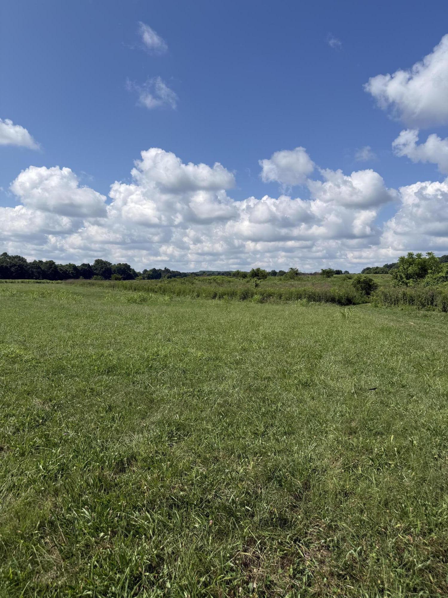 Photo 3 - Land for sale – 000  Highway 63   Houston, MO