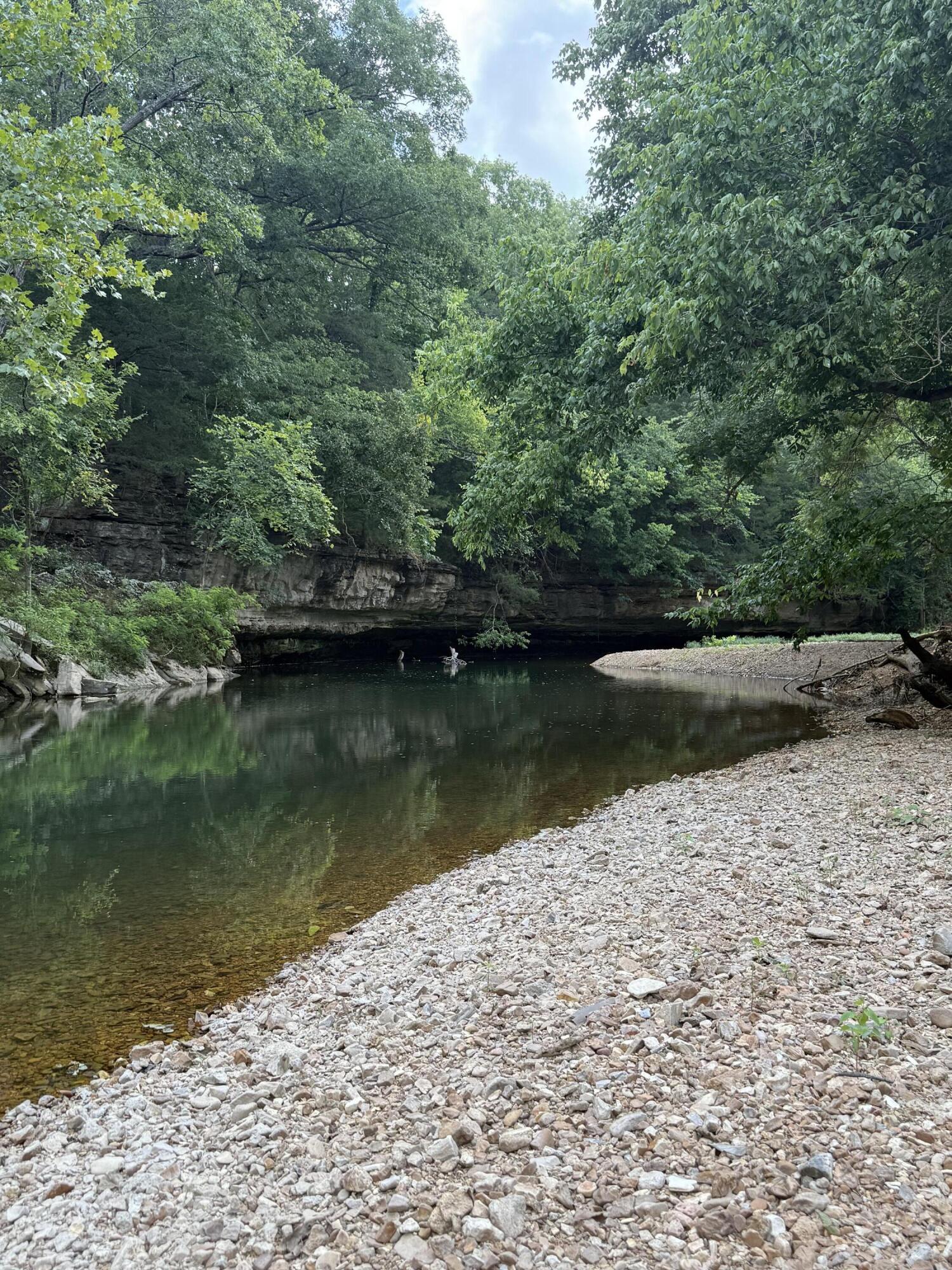 Photo 5 - Land for sale – 000  Highway 63   Houston, MO