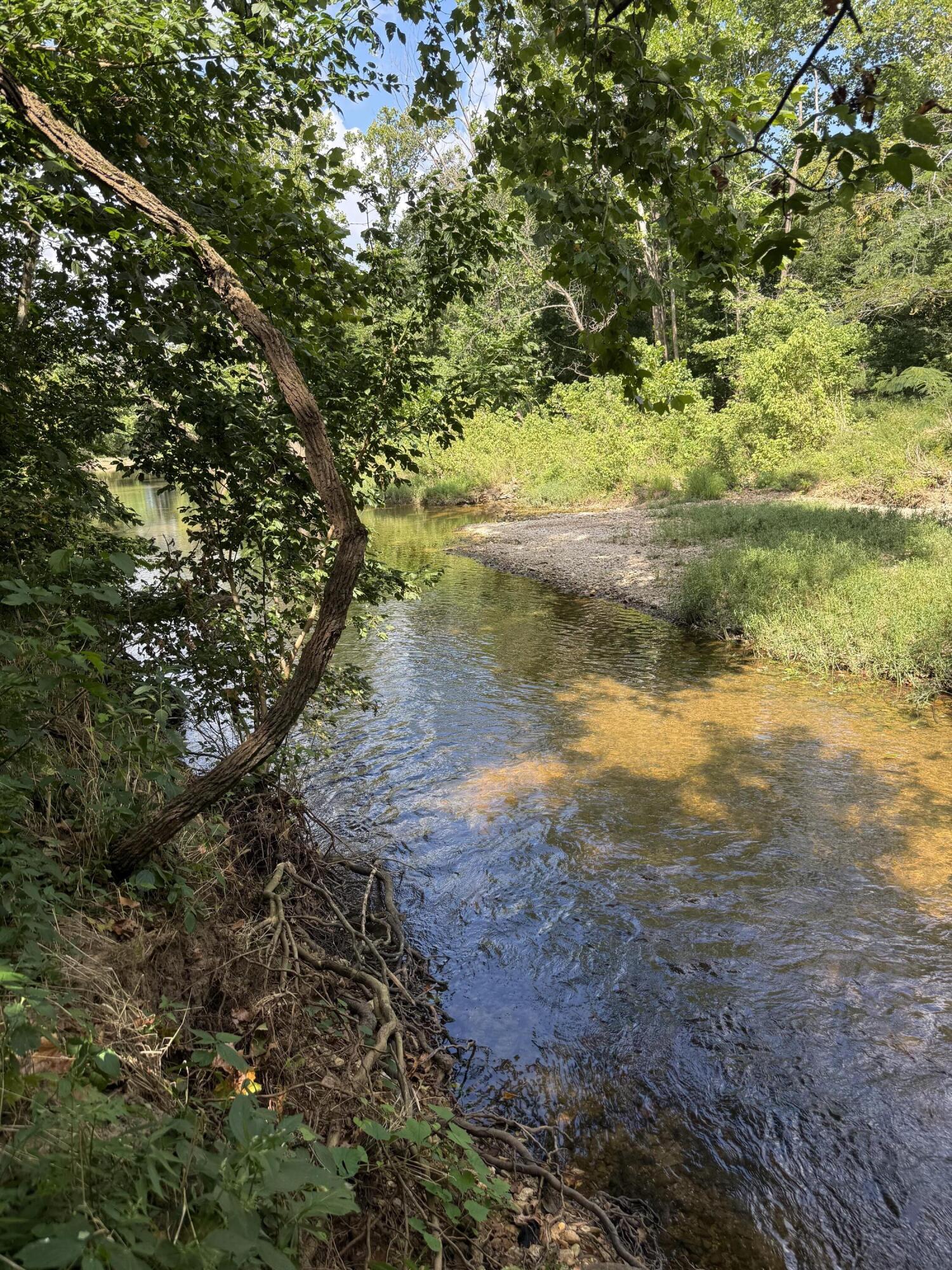 Photo 4 - Land for sale – 000  Highway 63   Houston, MO