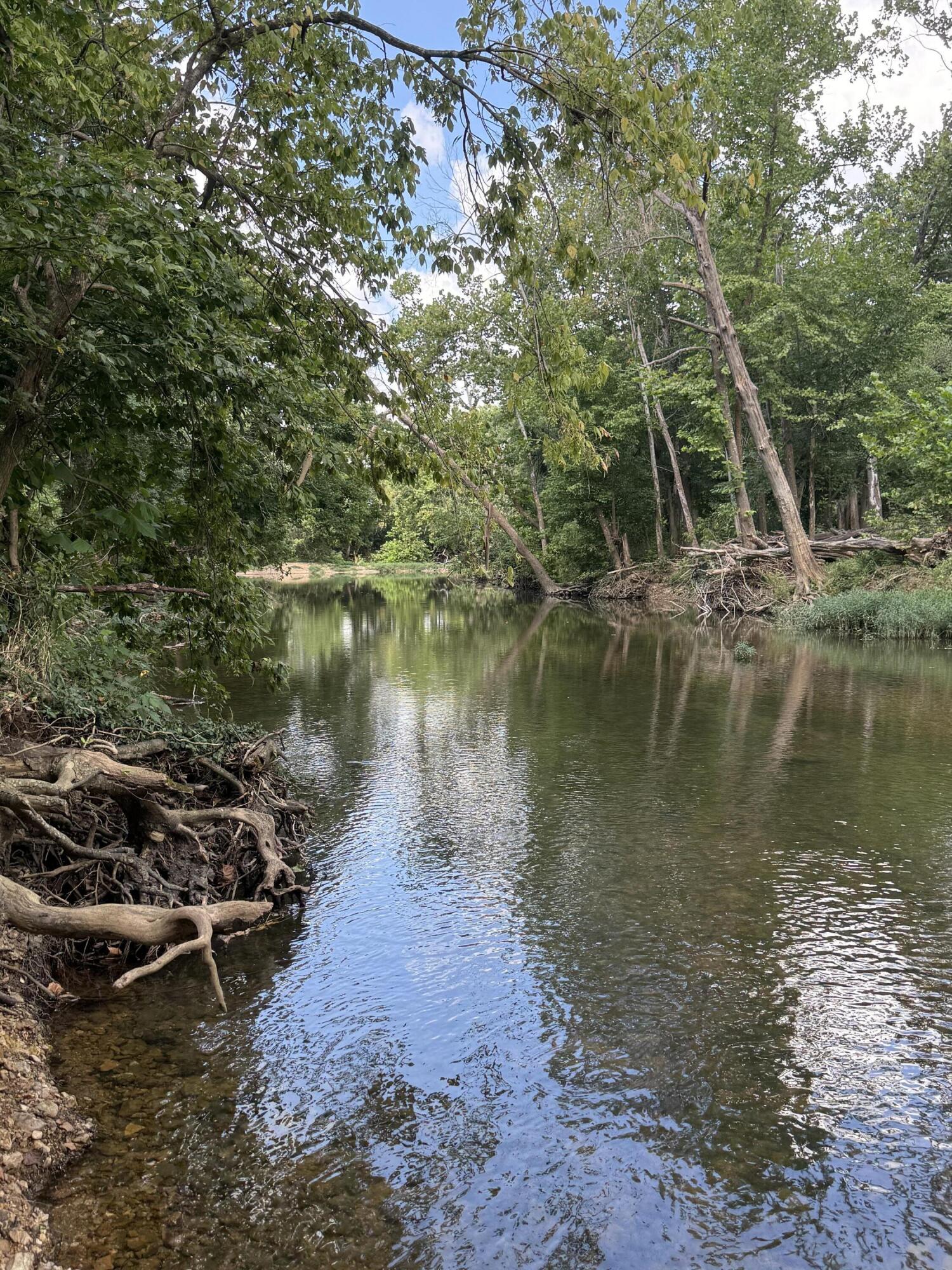 Photo 7 - Land for sale – 000  Highway 63   Houston, MO