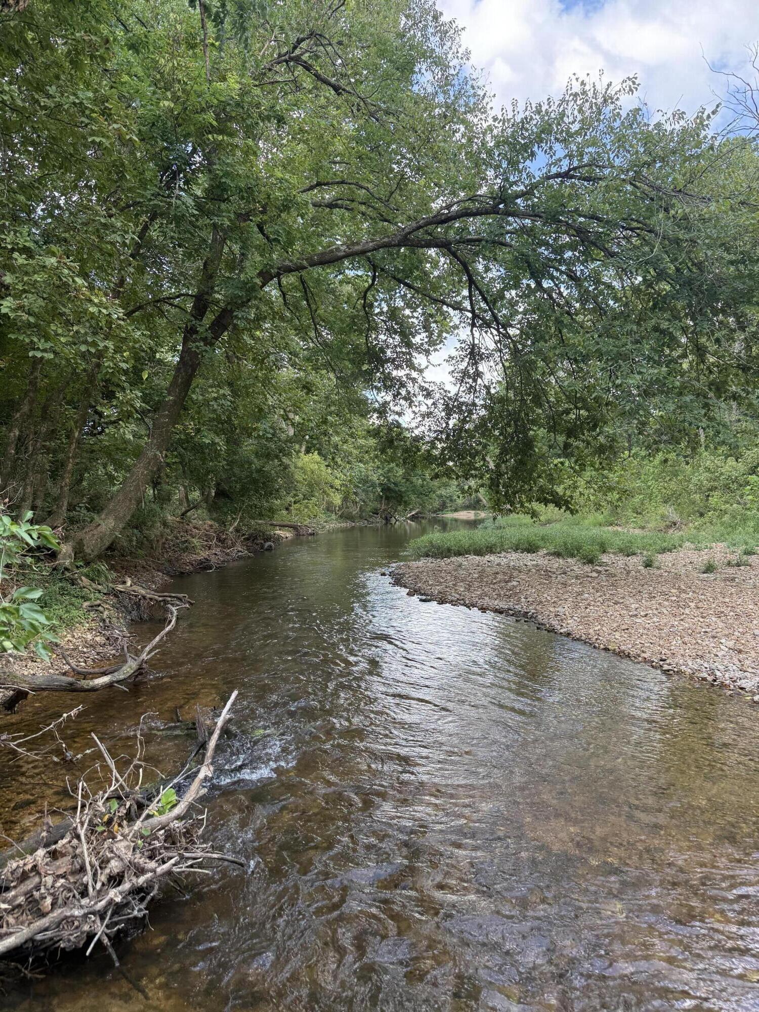 Land for sale – 000  Highway 63   Houston, MO