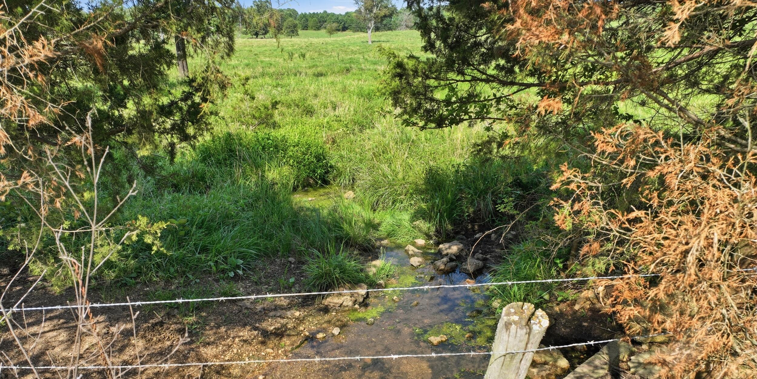 Photo 48 - Farm for sale – 8431  State Route Ad   West Plains, MO