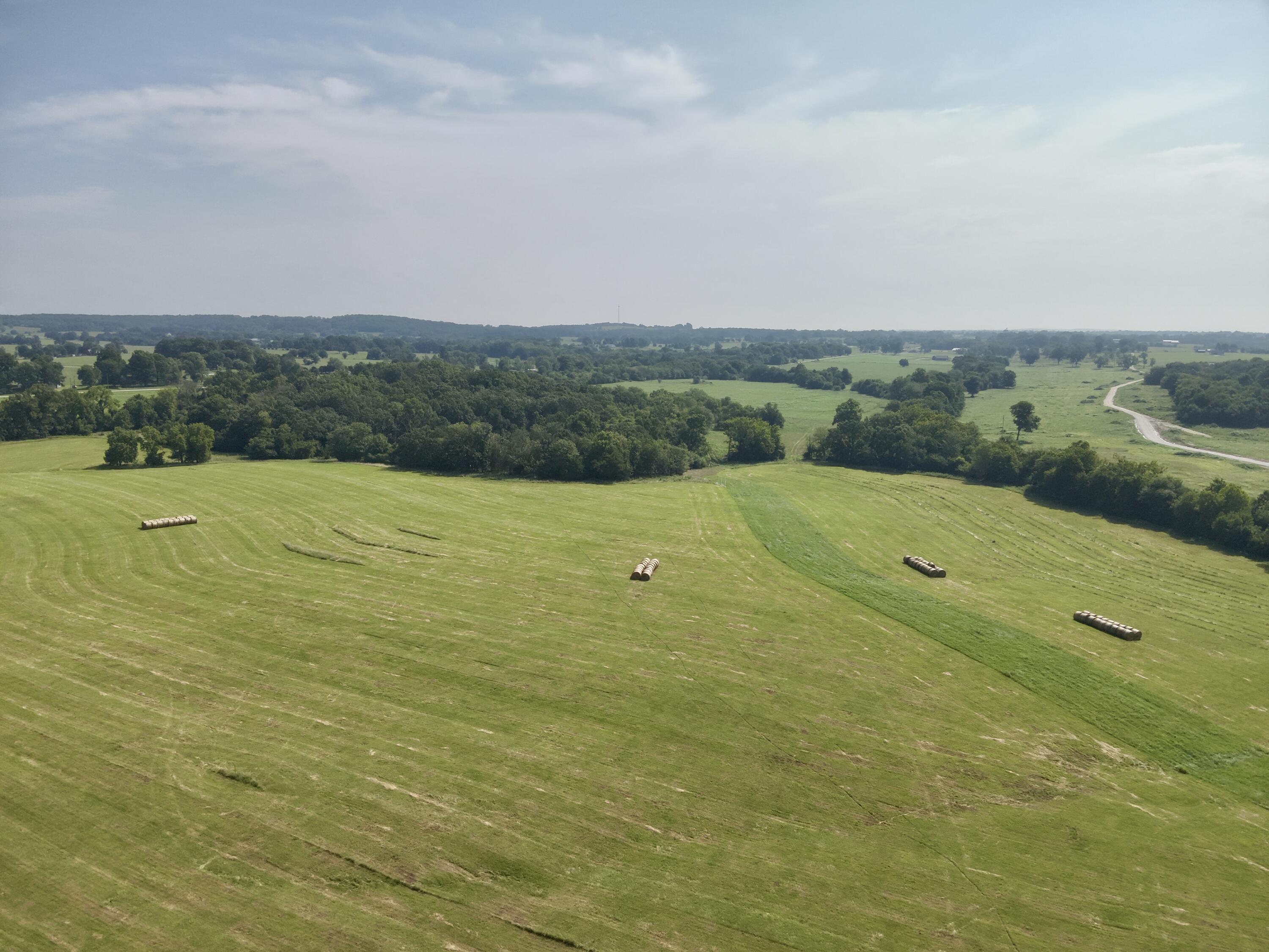 Photo 8 - Land for sale – Lot 58 E 442nd Road  Bolivar, MO