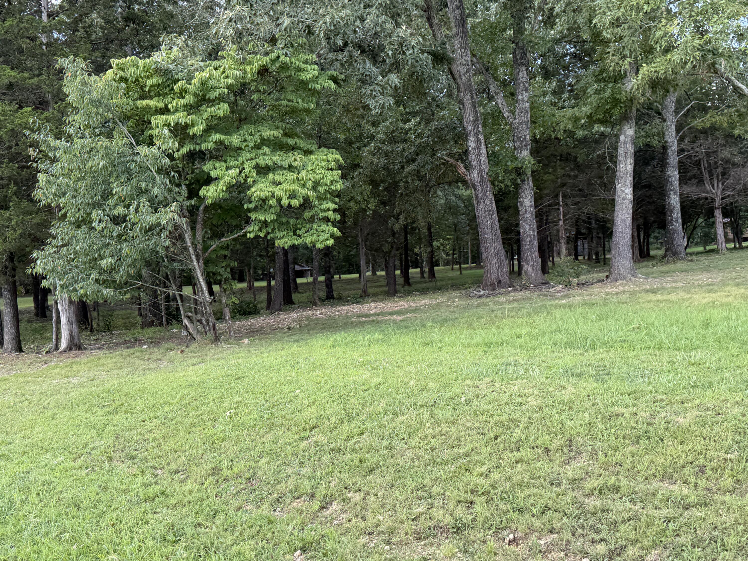 Photo 80 - Residential for sale – 1767  Ff Highway  Alton, MO