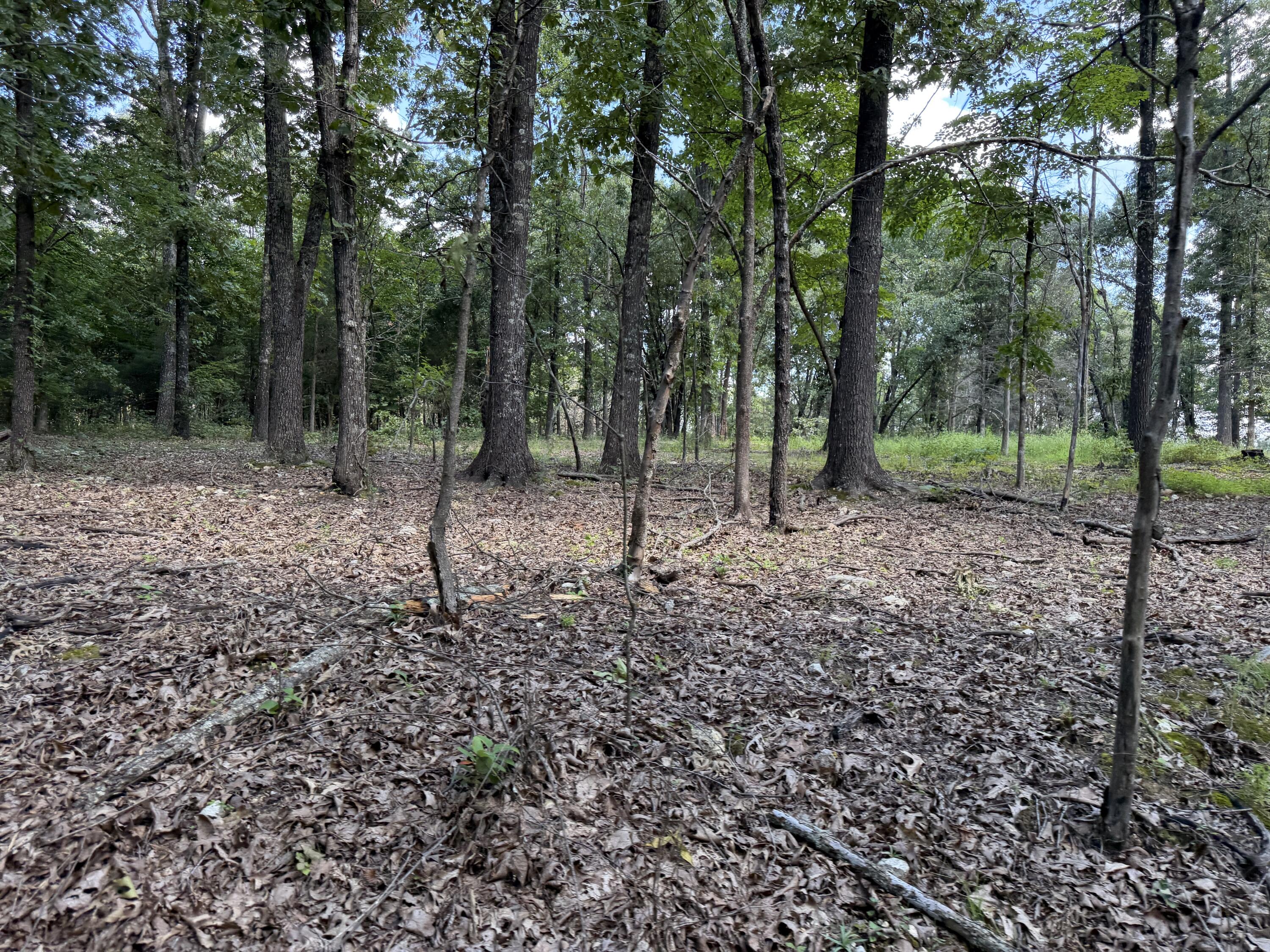 Photo 135 - Residential for sale – 1767  Ff Highway  Alton, MO