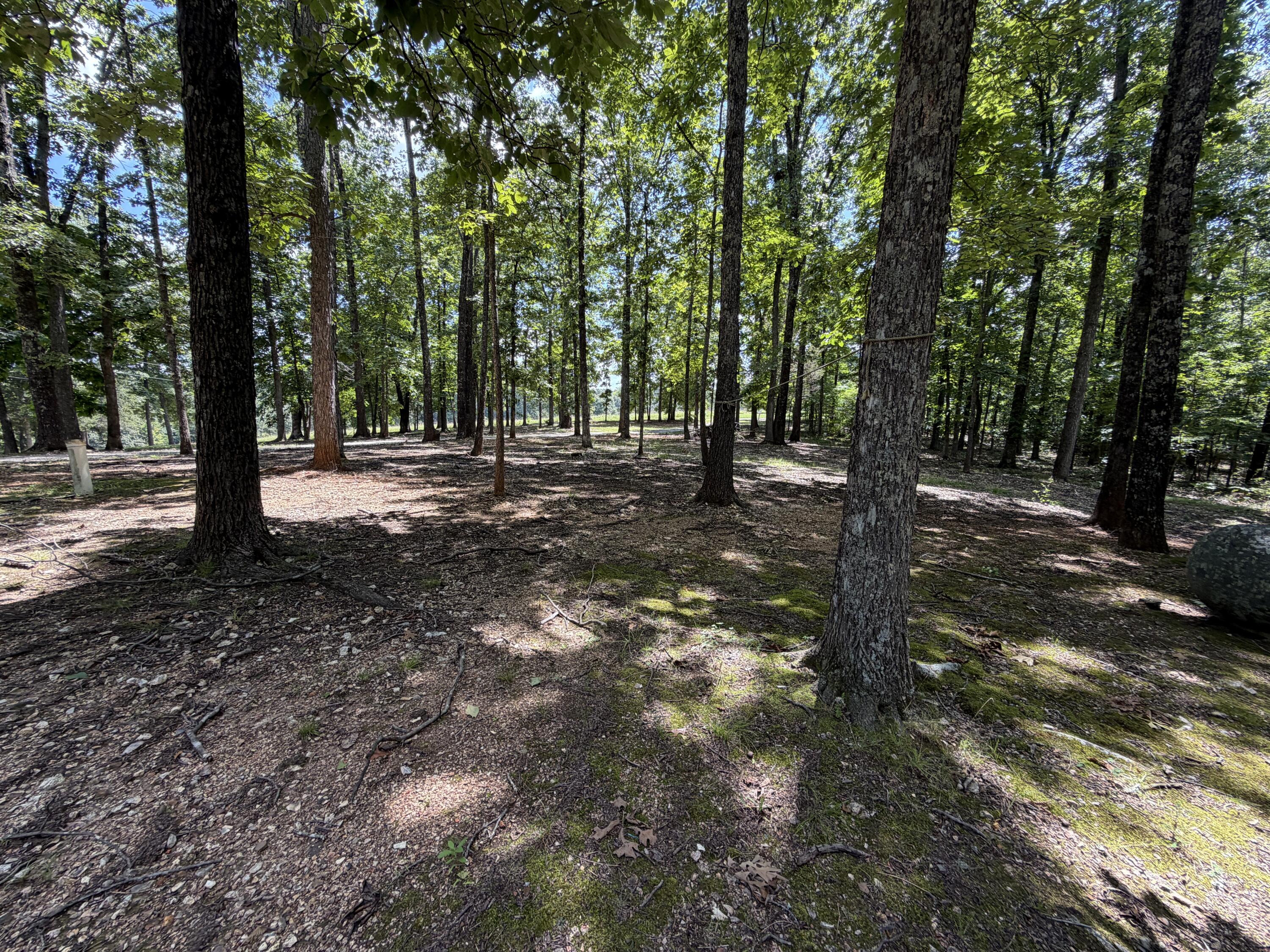 Photo 111 - Residential for sale – 1767  Ff Highway  Alton, MO