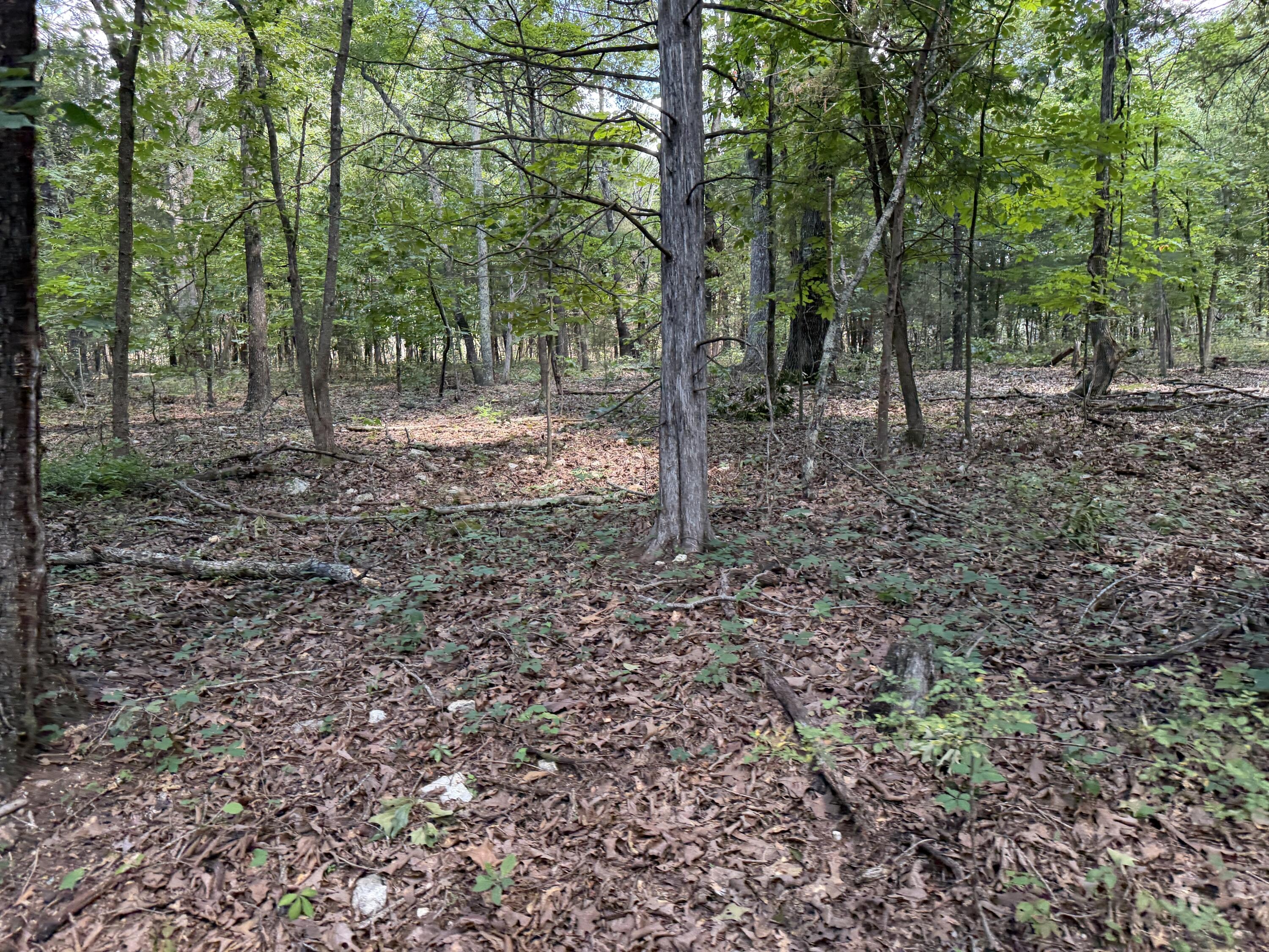 Photo 128 - Residential for sale – 1767  Ff Highway  Alton, MO
