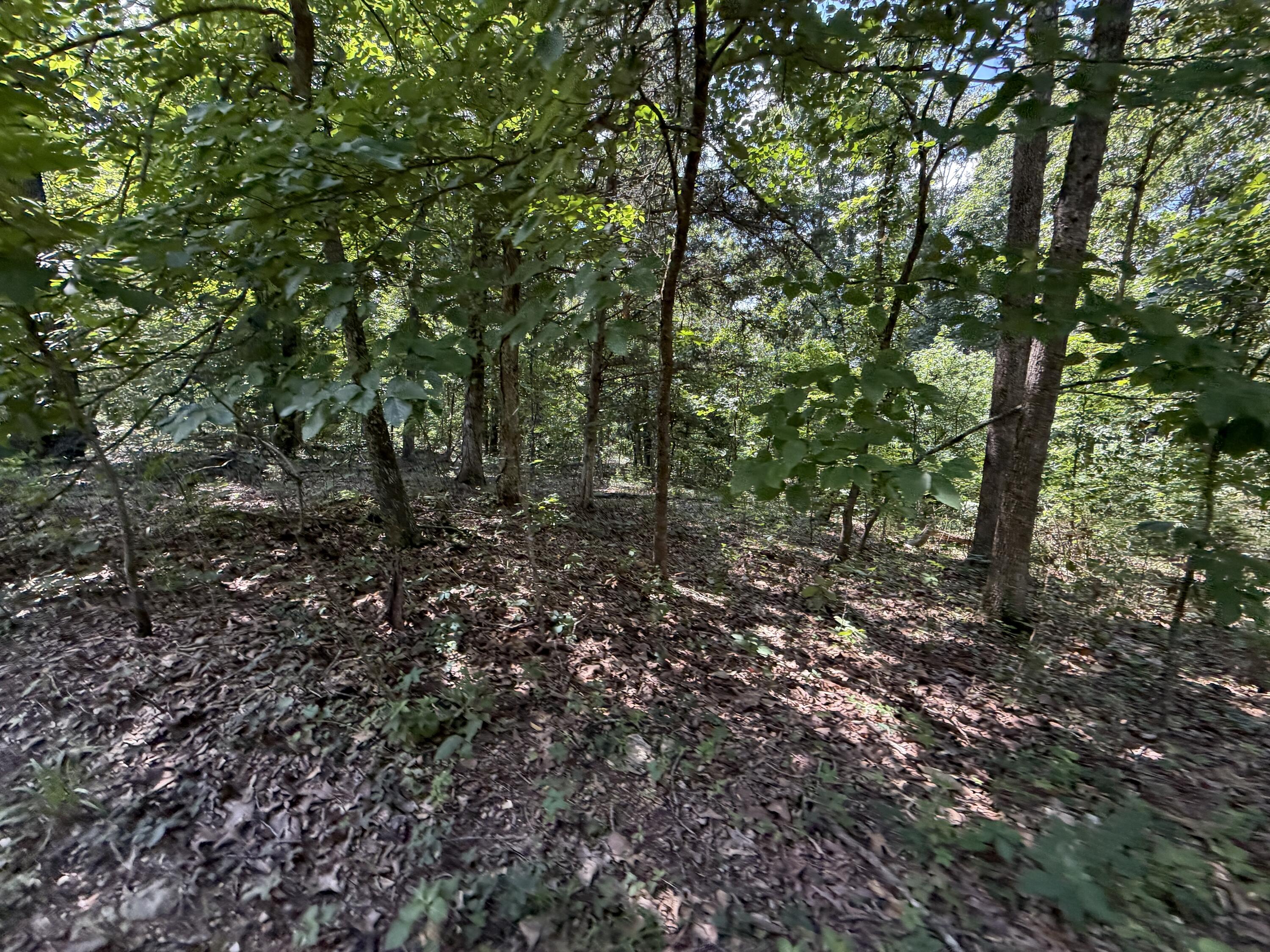Photo 136 - Residential for sale – 1767  Ff Highway  Alton, MO