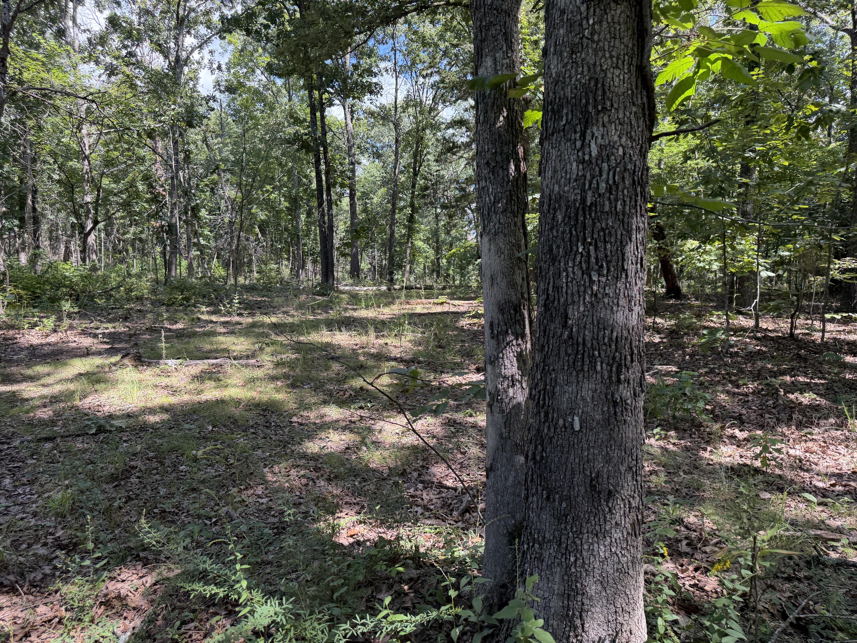 Photo 129 - Residential for sale – 1767  Ff Highway  Alton, MO
