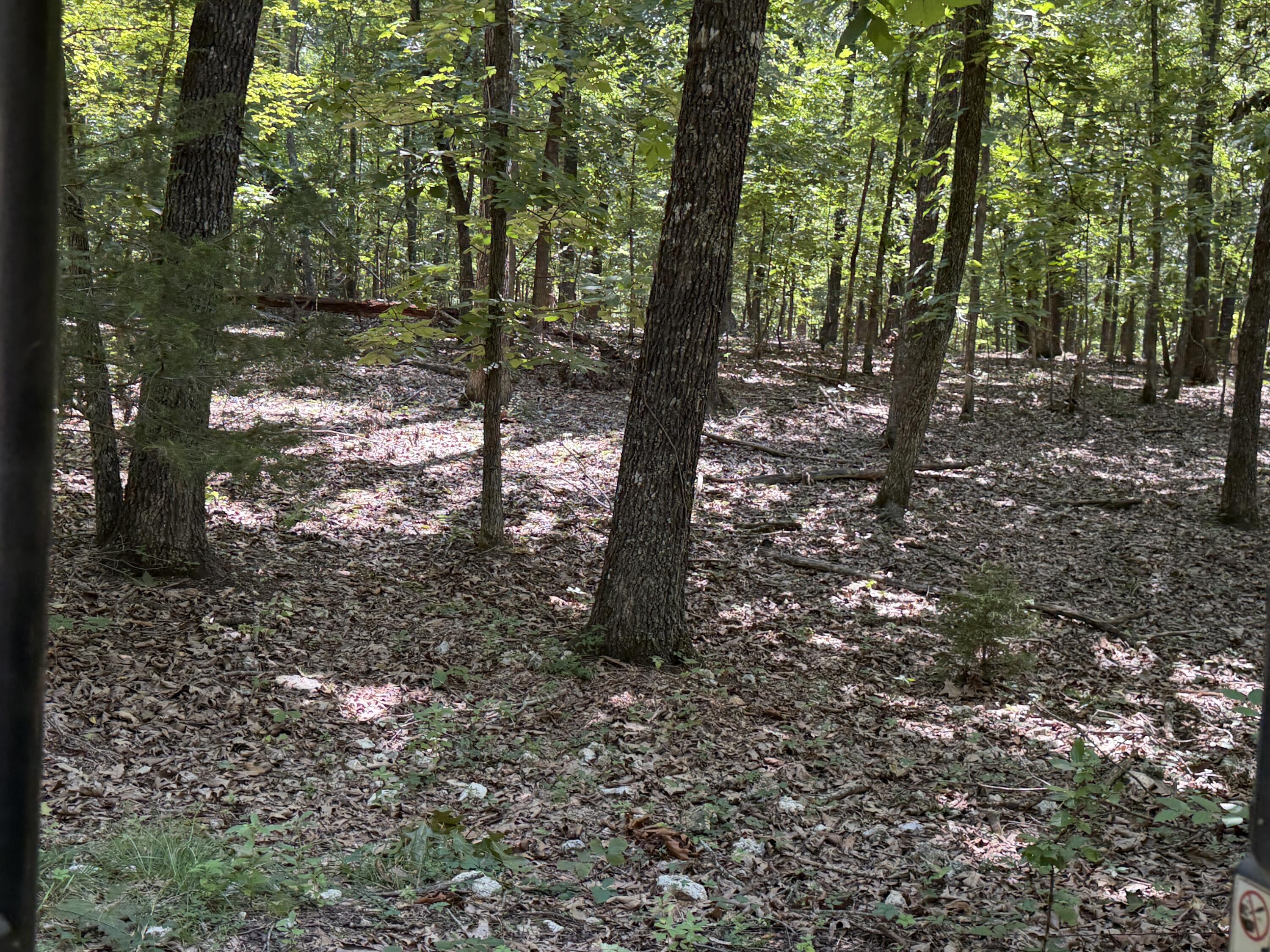 Photo 132 - Residential for sale – 1767  Ff Highway  Alton, MO