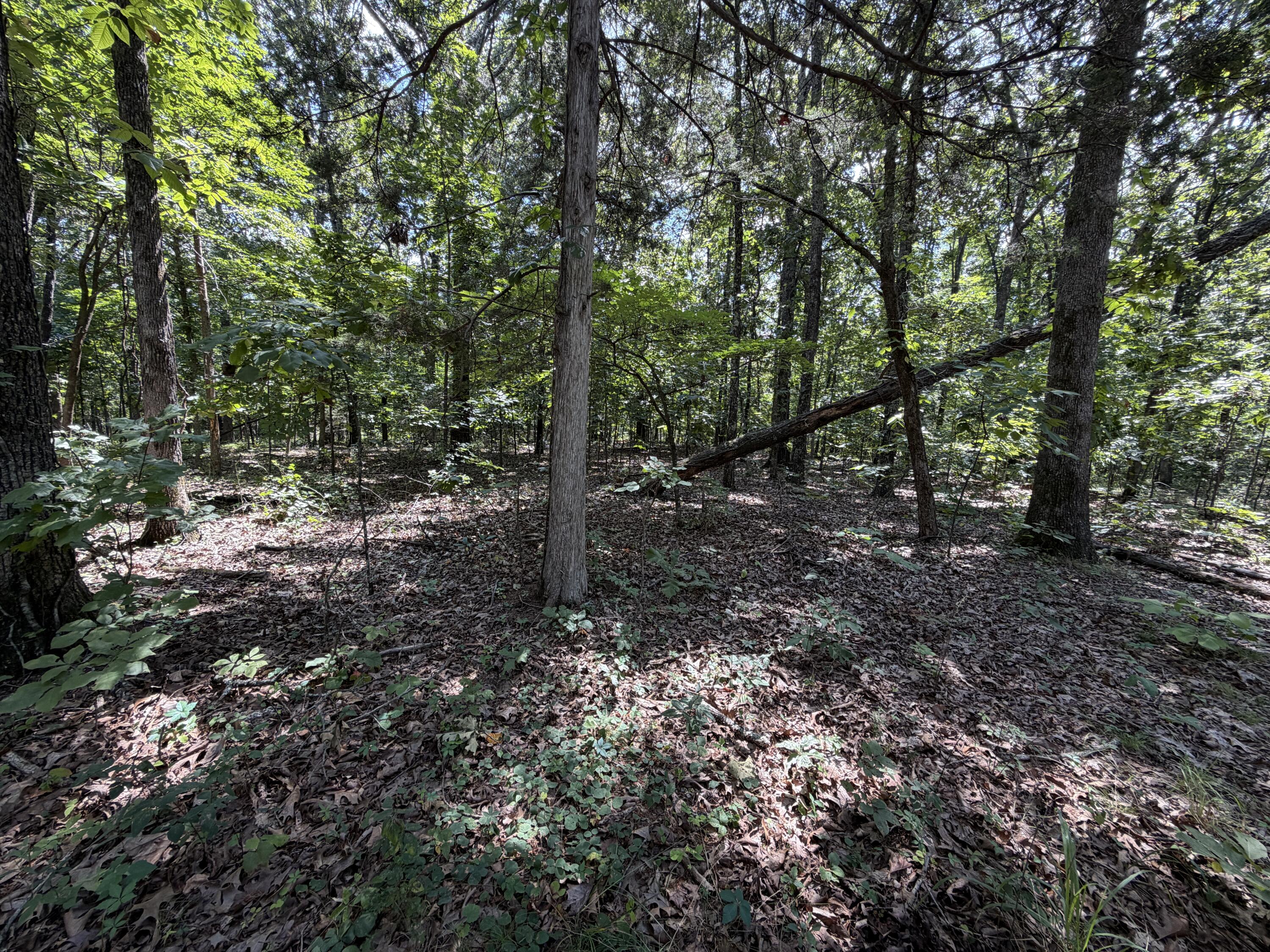 Photo 130 - Residential for sale – 1767  Ff Highway  Alton, MO