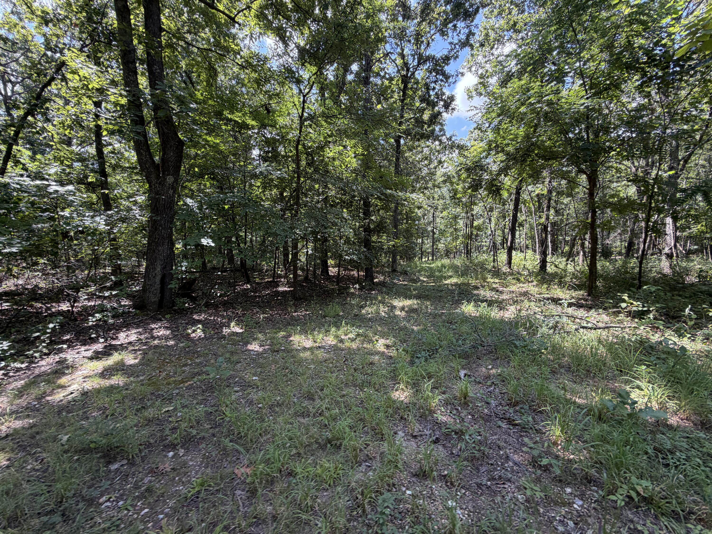 Photo 131 - Residential for sale – 1767  Ff Highway  Alton, MO