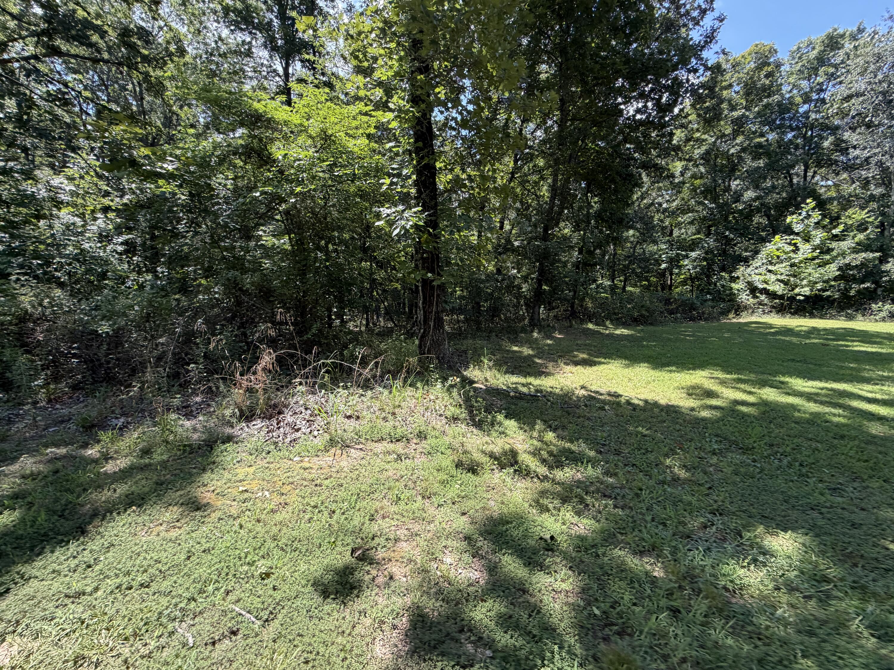 Photo 55 - Residential for sale – 1767  Ff Highway  Alton, MO