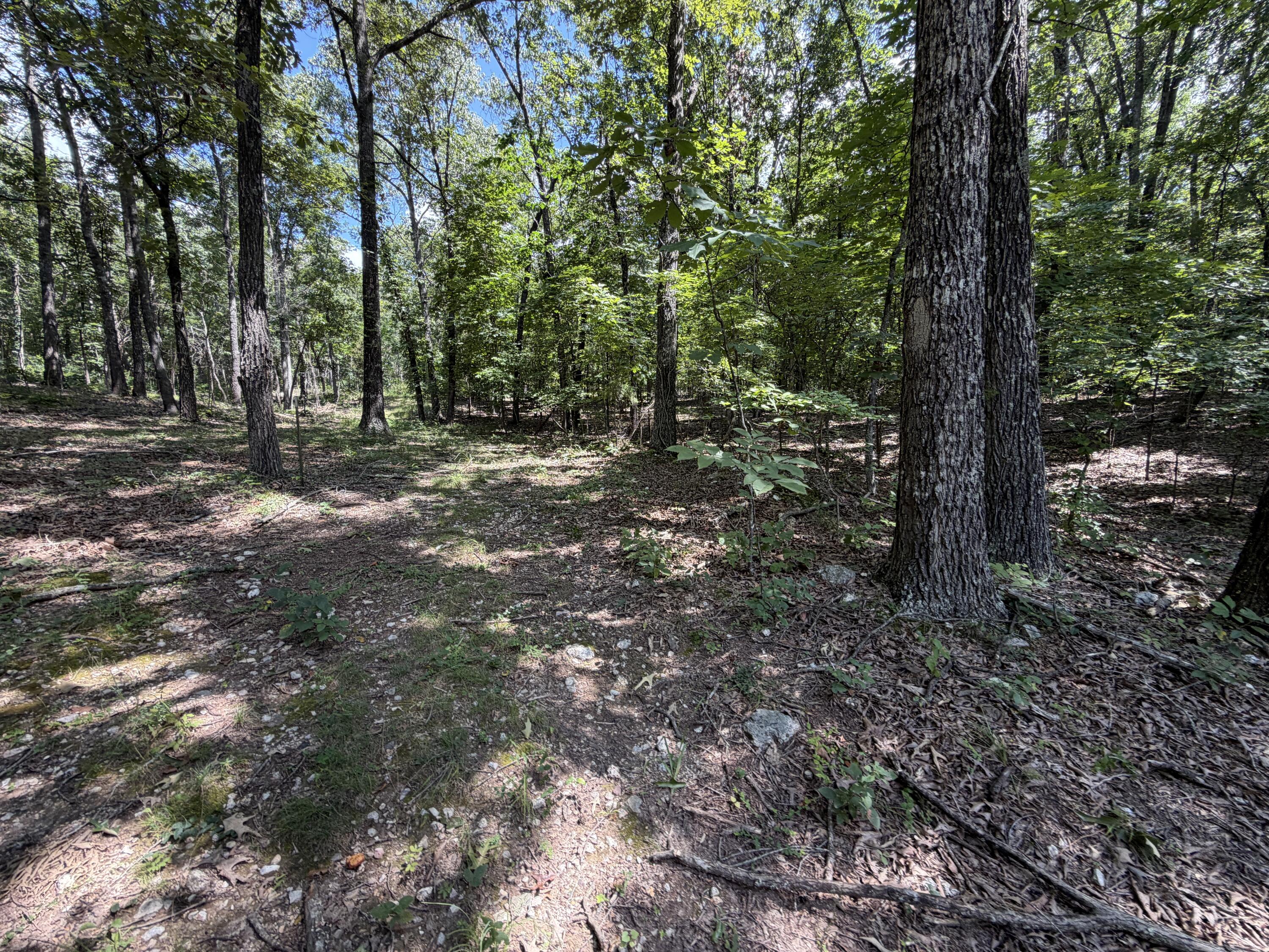 Photo 133 - Residential for sale – 1767  Ff Highway  Alton, MO