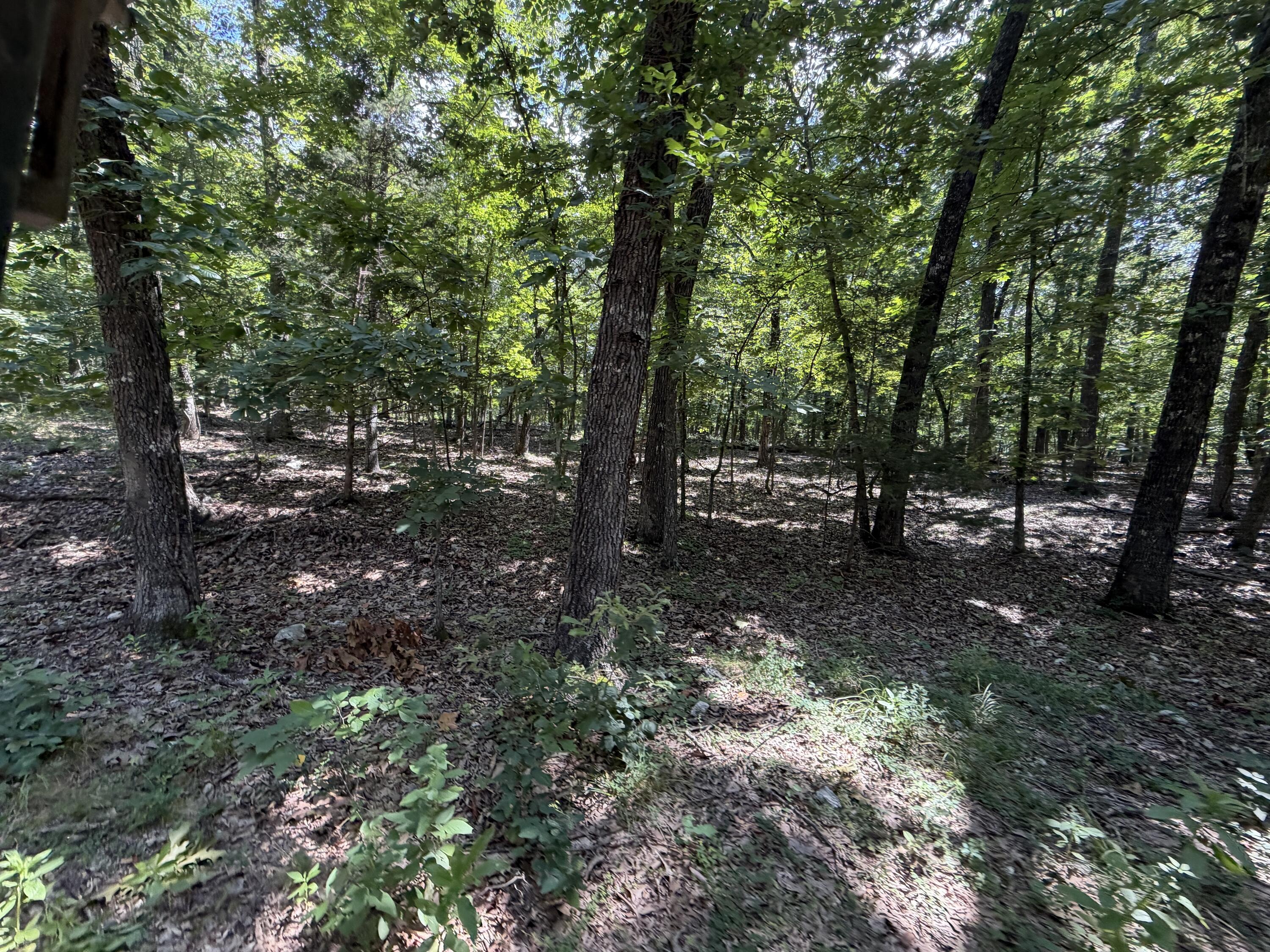 Photo 134 - Residential for sale – 1767  Ff Highway  Alton, MO