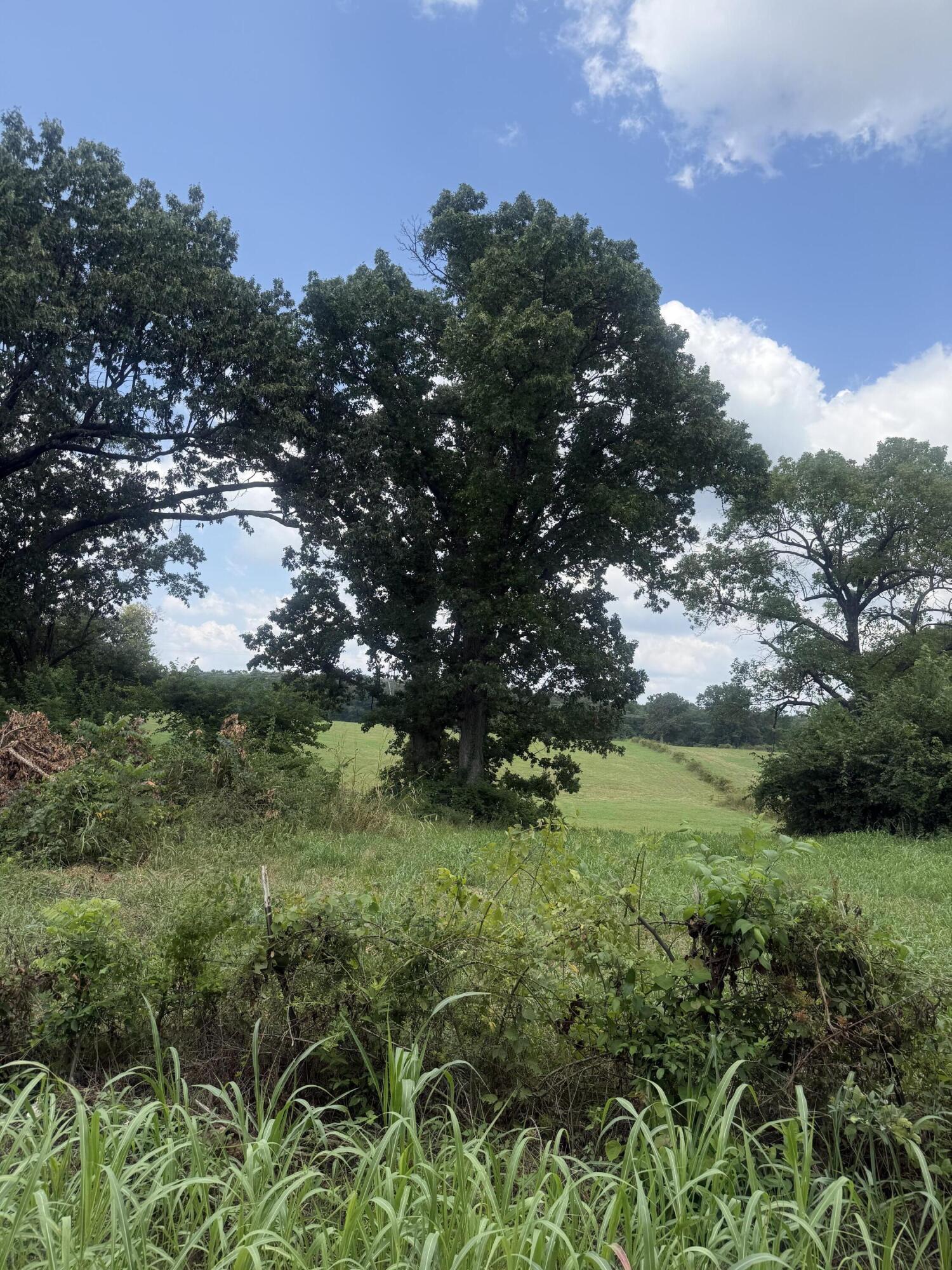 Photo 2 - Land for sale – 000  Sorrell Road  Stella, MO