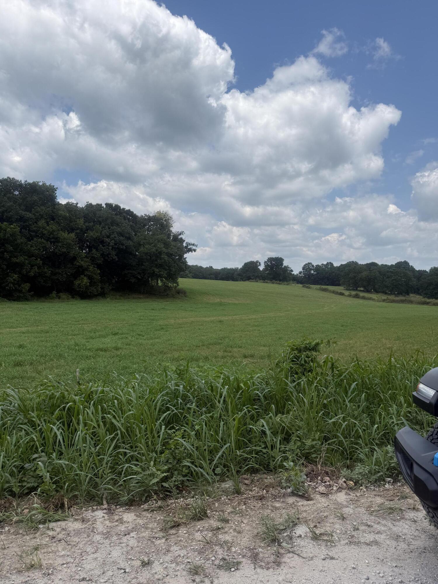 Land for sale – 000  Sorrell Road  Stella, MO