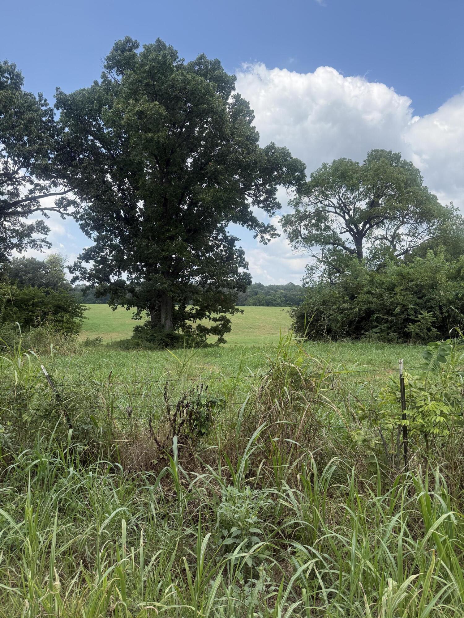 Photo 3 - Land for sale – 000  Sorrell Road  Stella, MO