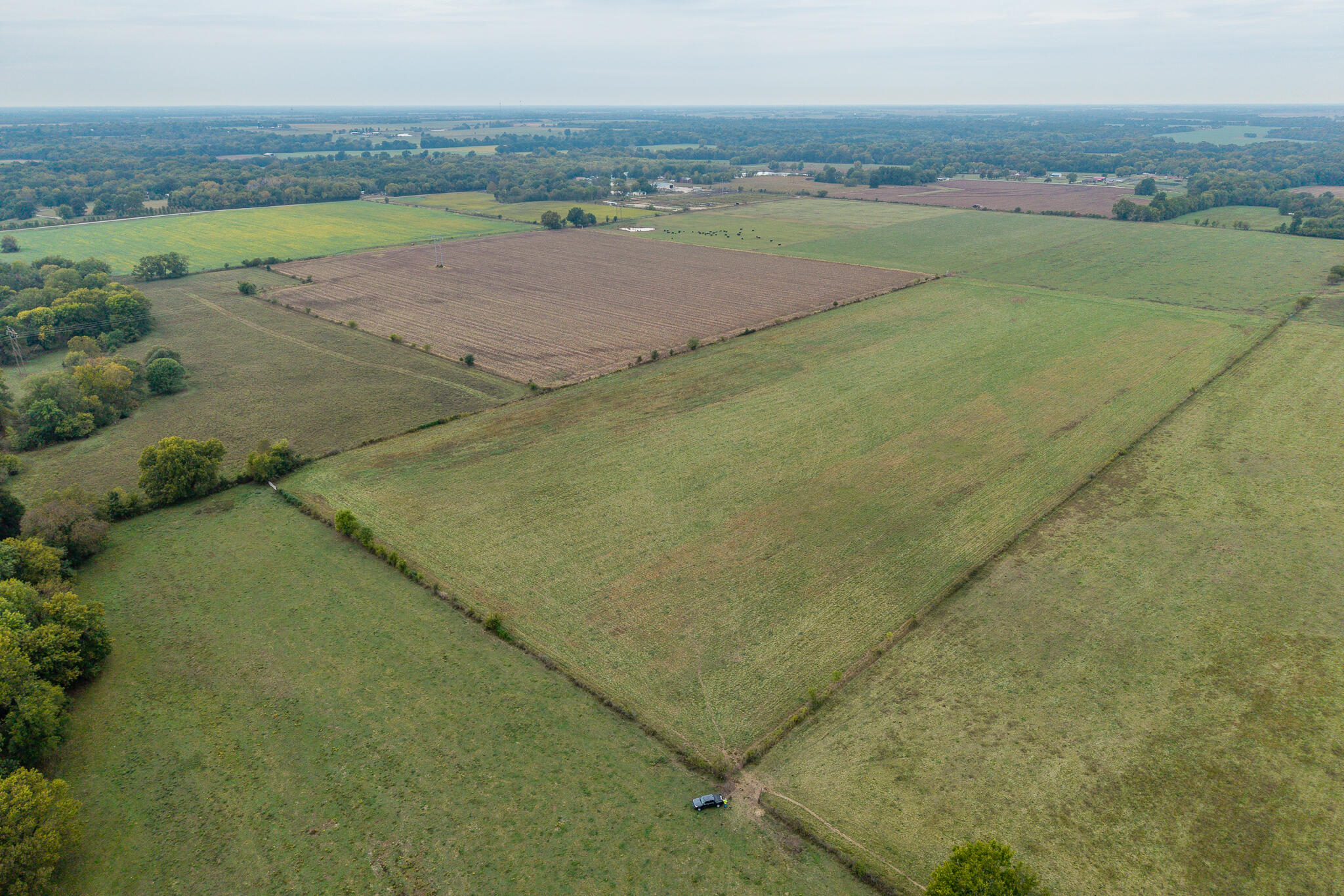 Photo 8 - Land for sale – 010  County Road 270   Carl Junction, MO