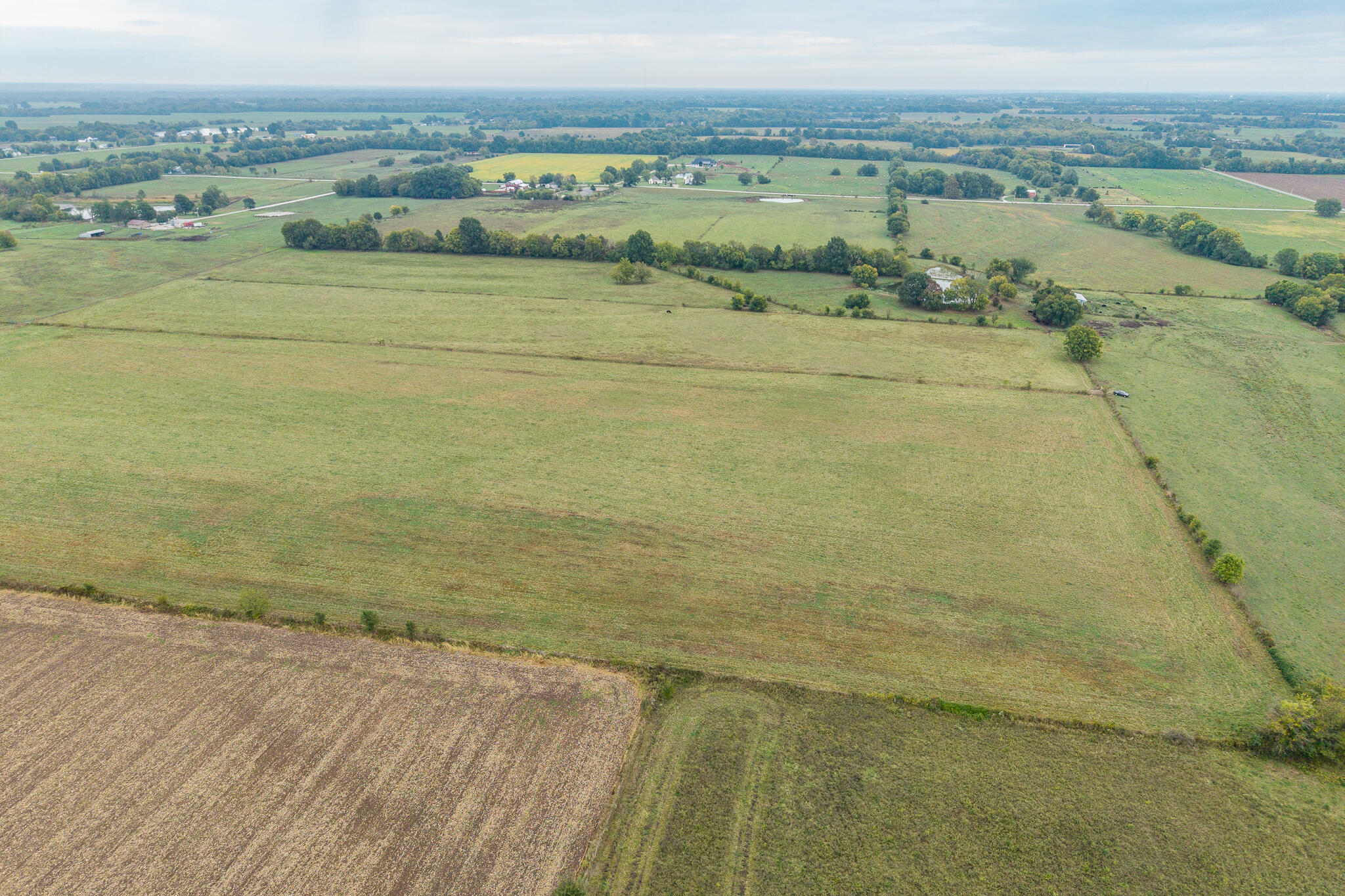 Photo 13 - Land for sale – 010  County Road 270   Carl Junction, MO
