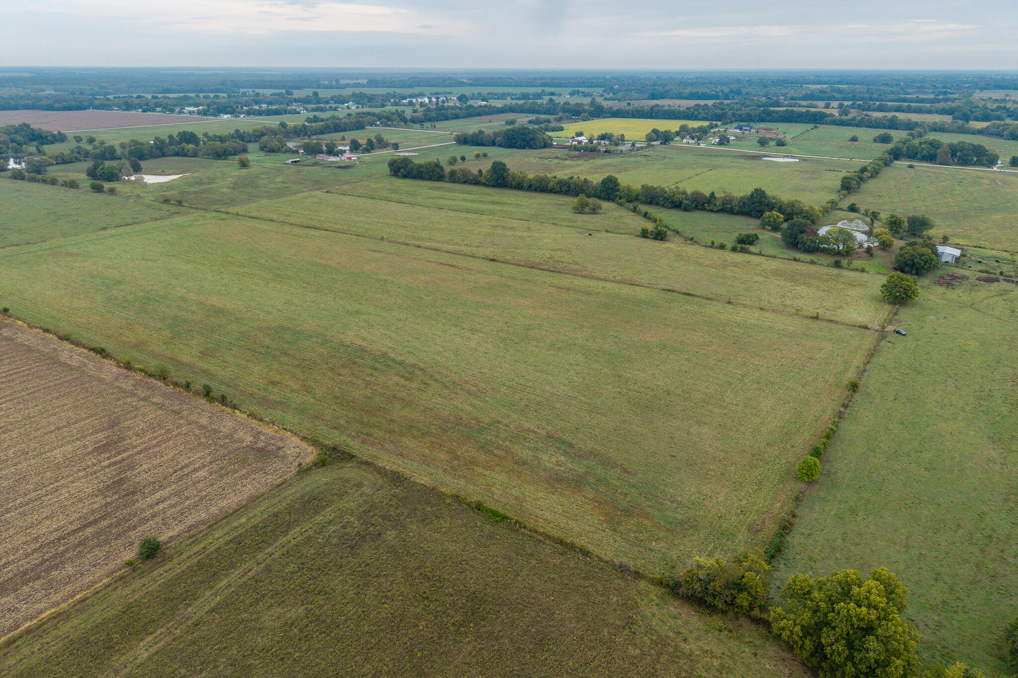 Photo 11 - Land for sale – 010  County Road 270   Carl Junction, MO
