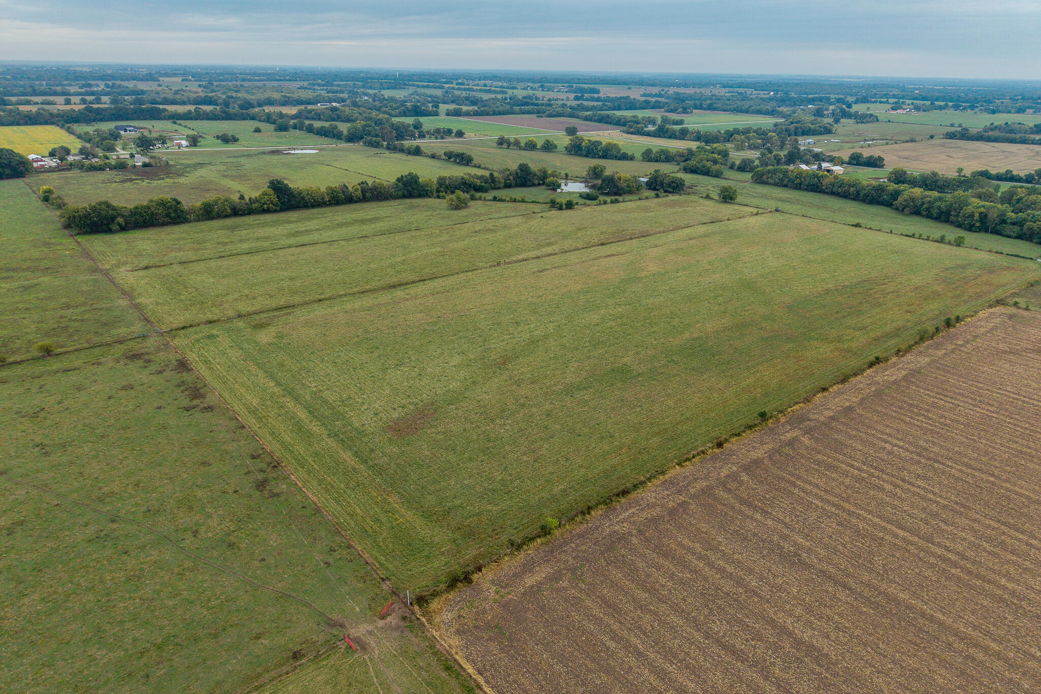 Photo 14 - Land for sale – 010  County Road 270   Carl Junction, MO