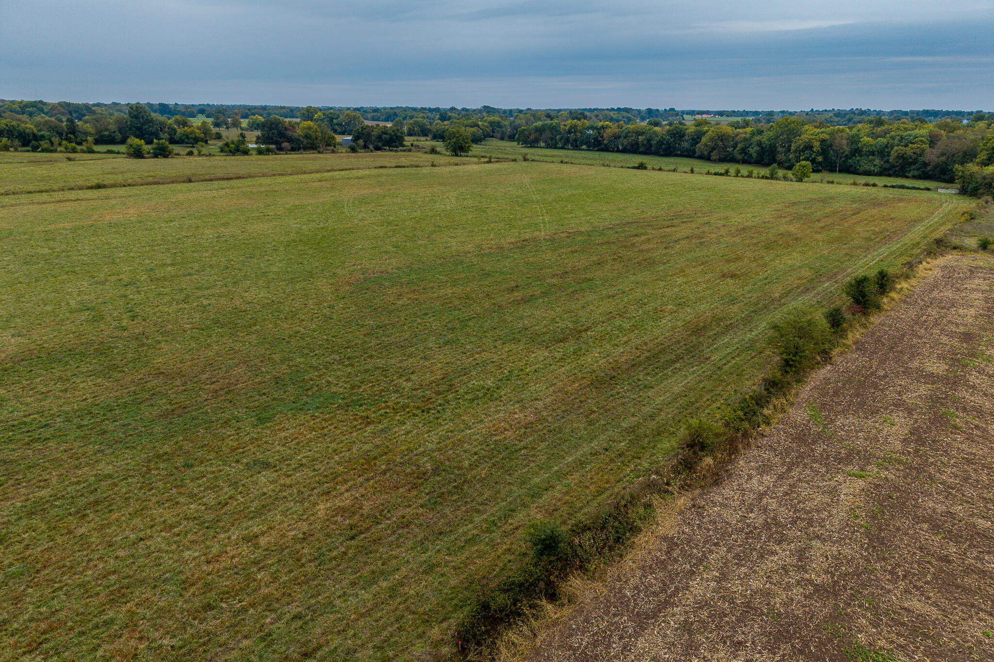 Photo 2 - Land for sale – 010  County Road 270   Carl Junction, MO
