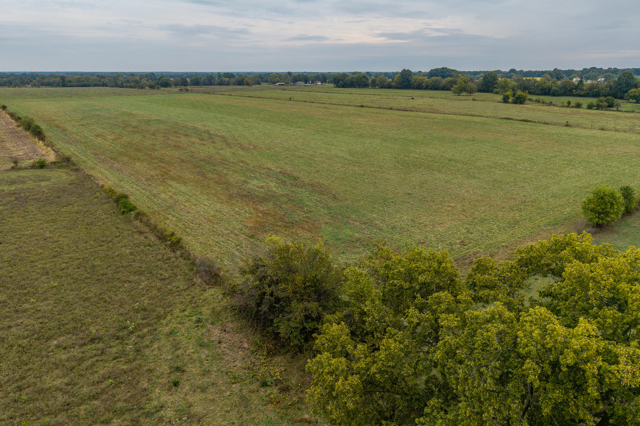 Photo 5 - Land for sale – 010  County Road 270   Carl Junction, MO
