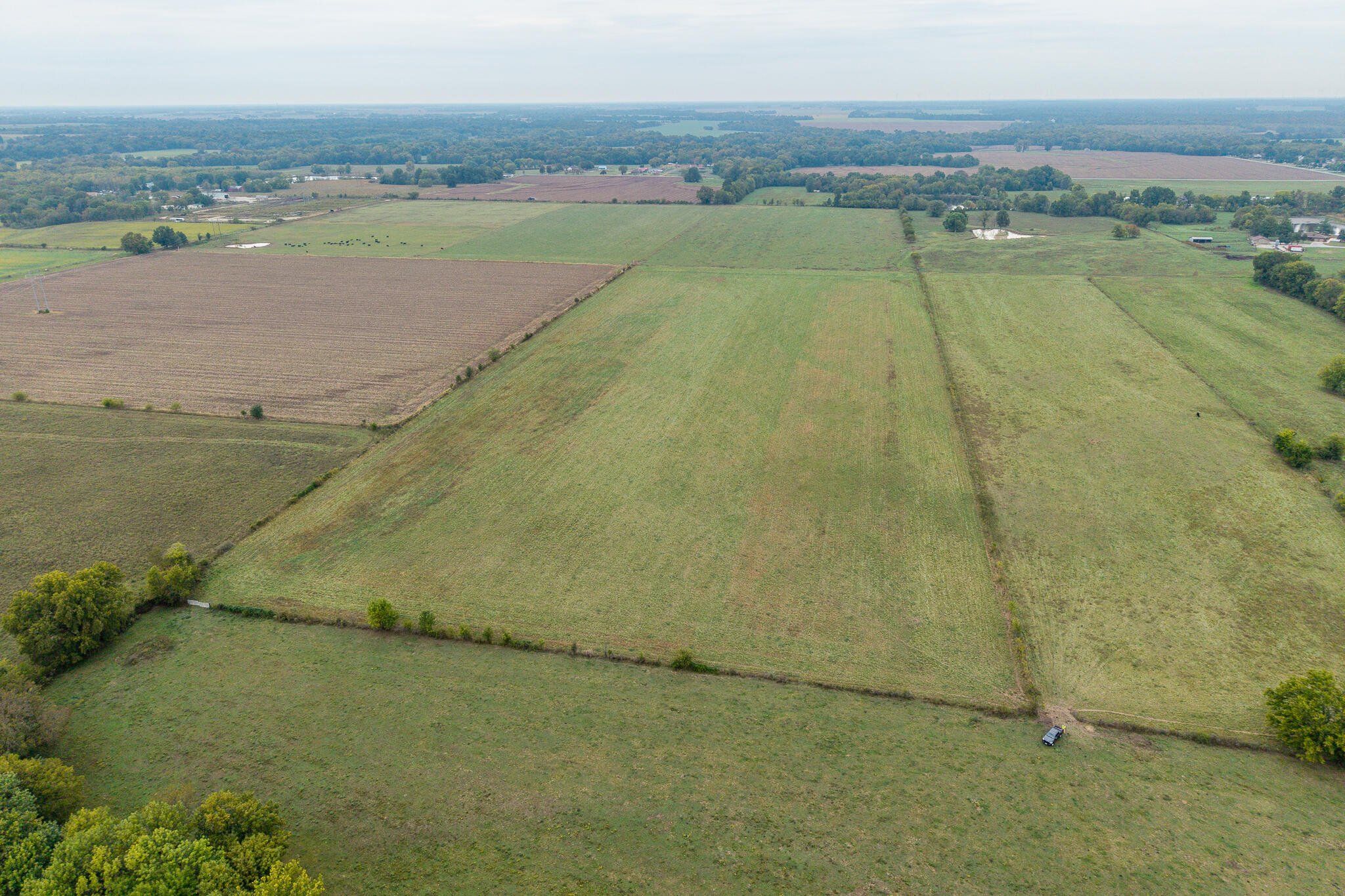 Photo 9 - Land for sale – 010  County Road 270   Carl Junction, MO