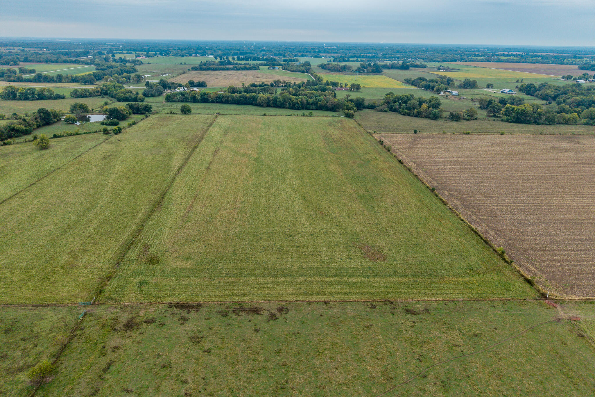 Photo 16 - Land for sale – 010  County Road 270   Carl Junction, MO