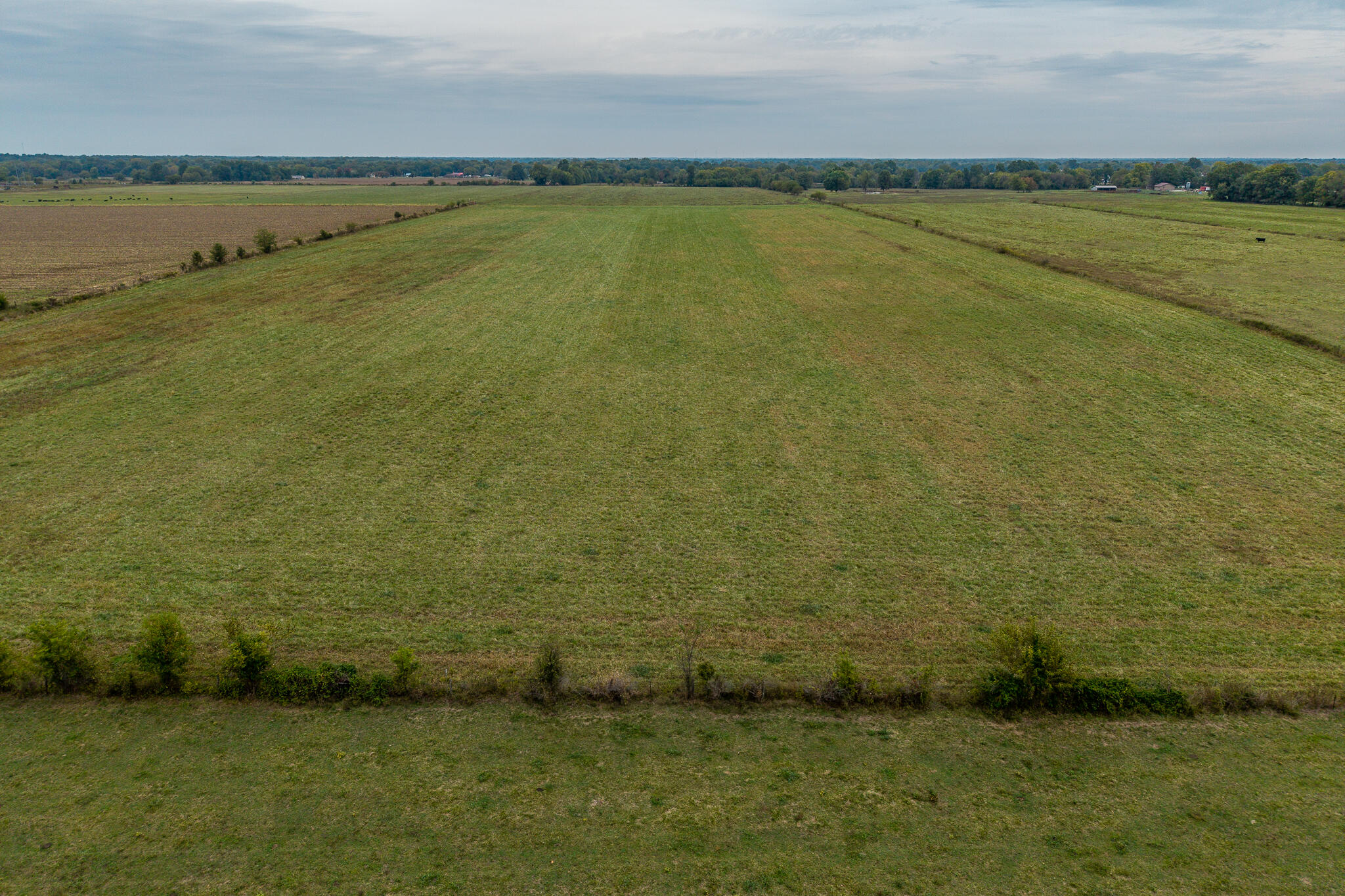 Photo 6 - Land for sale – 010  County Road 270   Carl Junction, MO