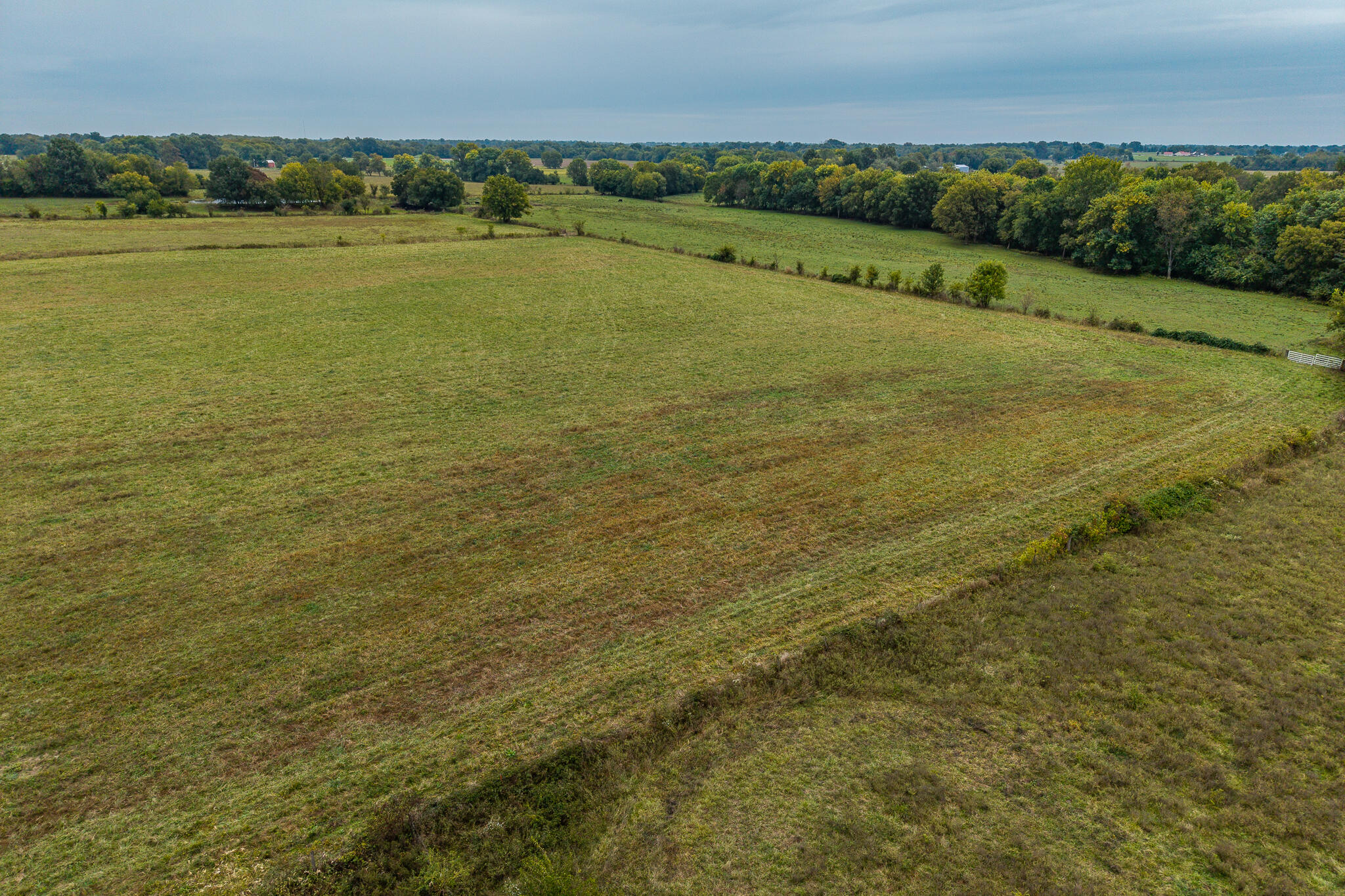 Photo 3 - Land for sale – 010  County Road 270   Carl Junction, MO