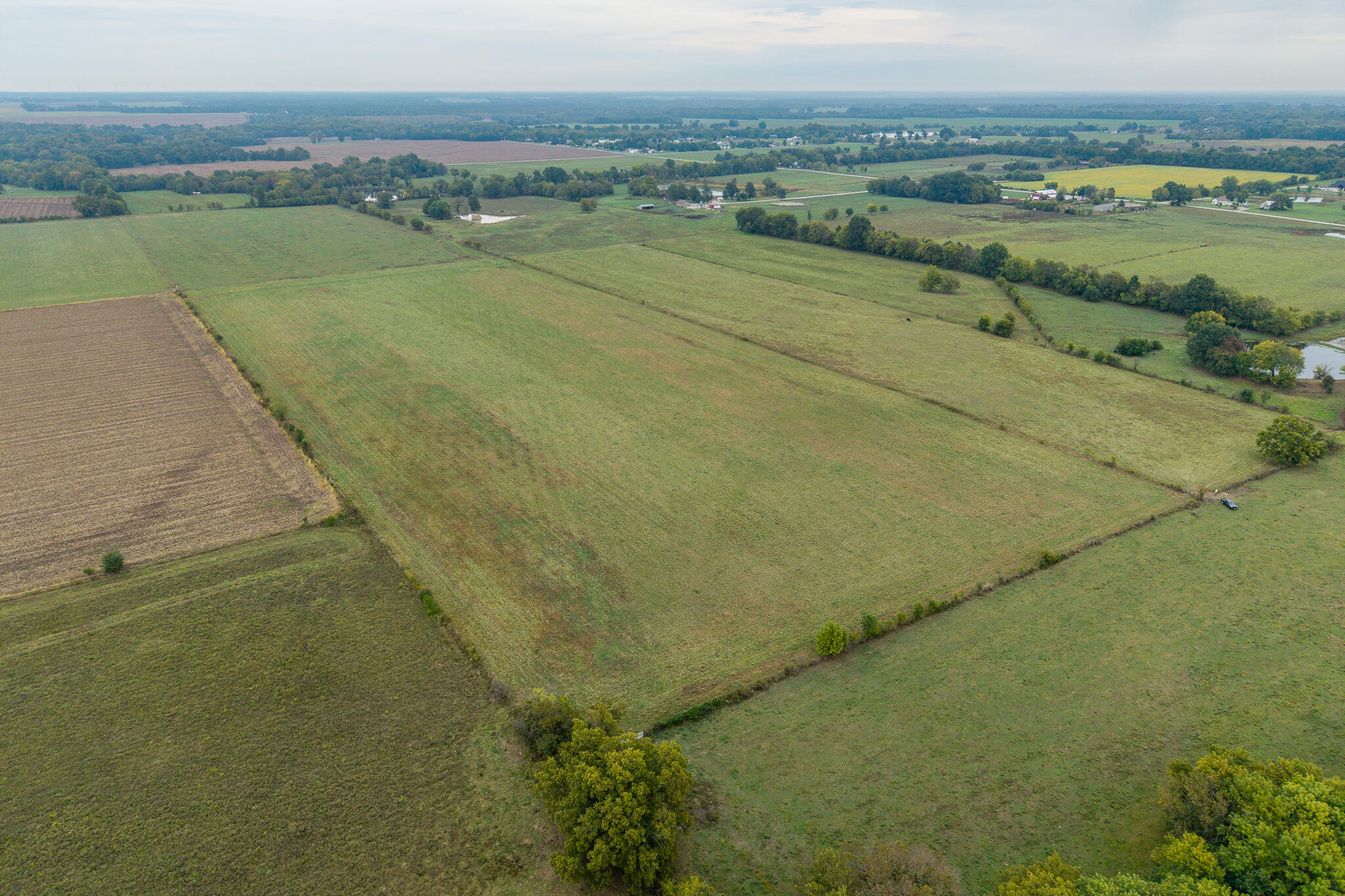 Photo 10 - Land for sale – 010  County Road 270   Carl Junction, MO