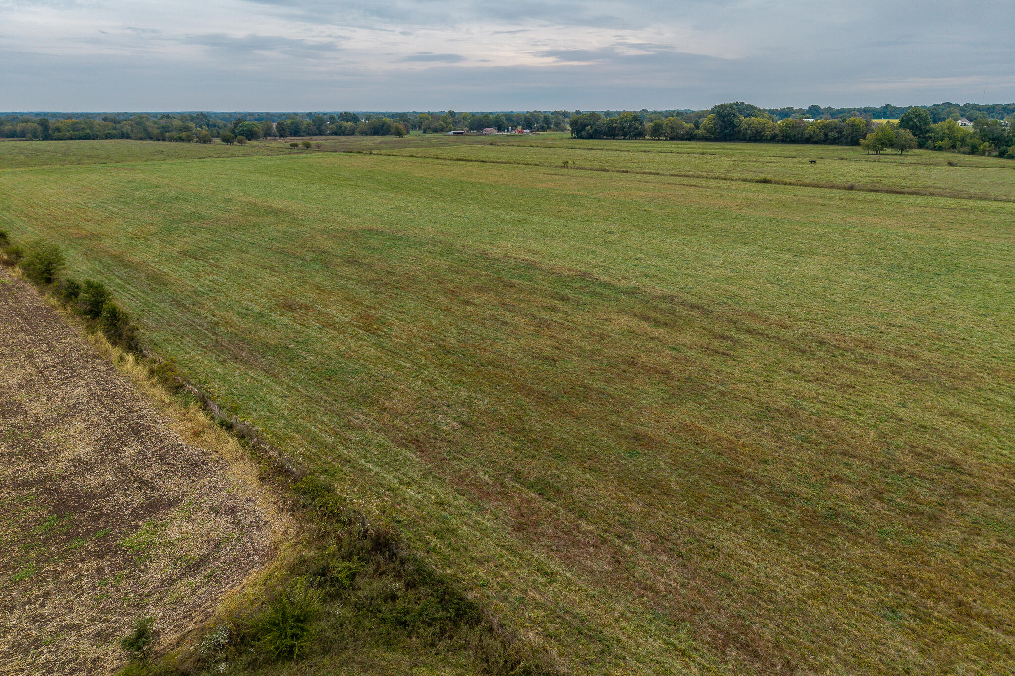 Photo 4 - Land for sale – 010  County Road 270   Carl Junction, MO