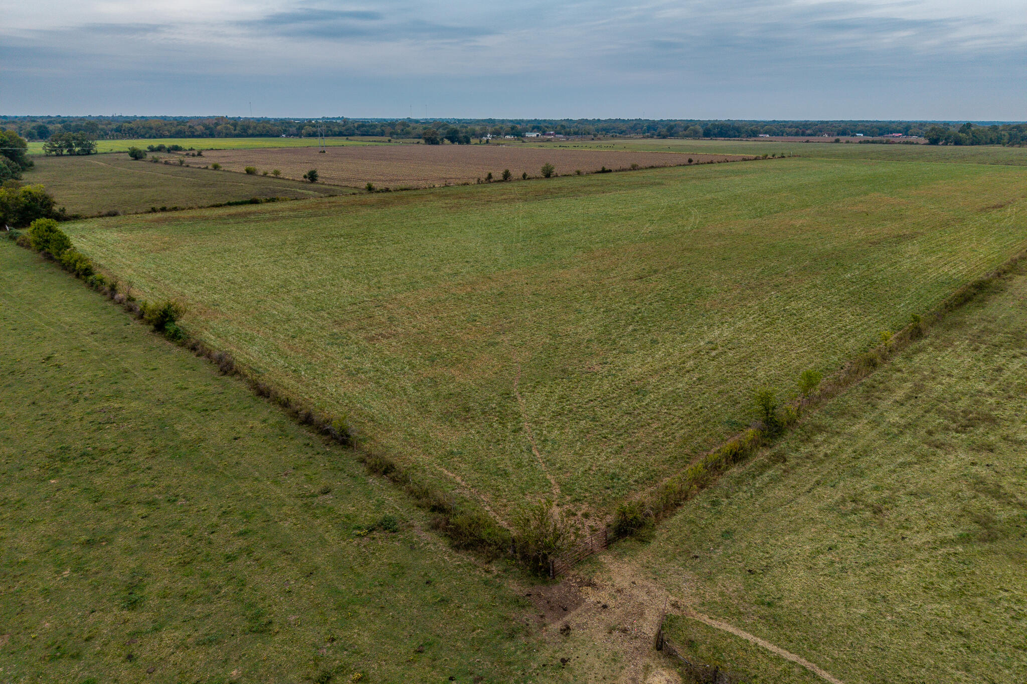Photo 7 - Land for sale – 010  County Road 270   Carl Junction, MO