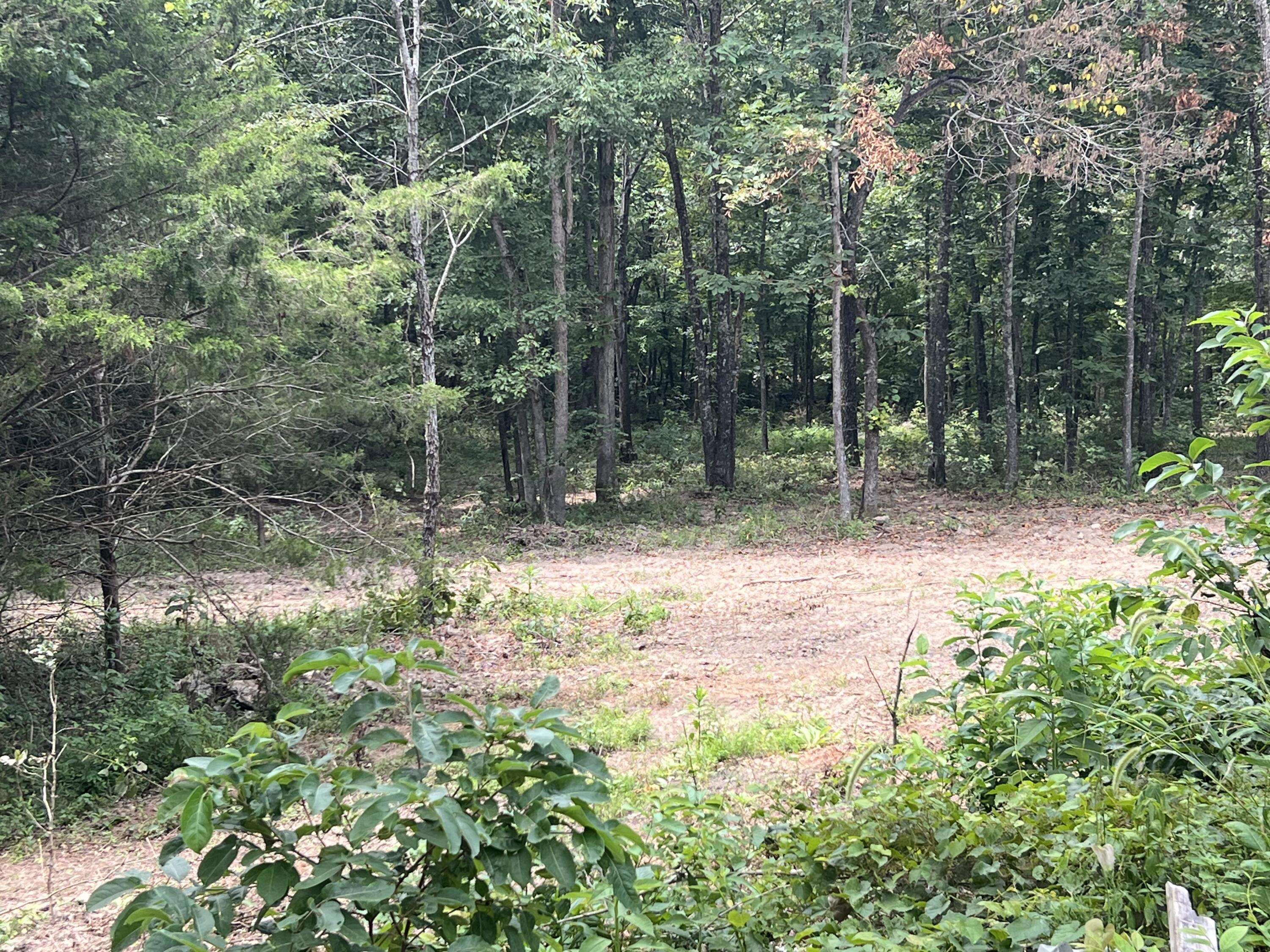 Photo 2 - Land for sale – 528  Black Oak Road  Mammoth Spring, AR