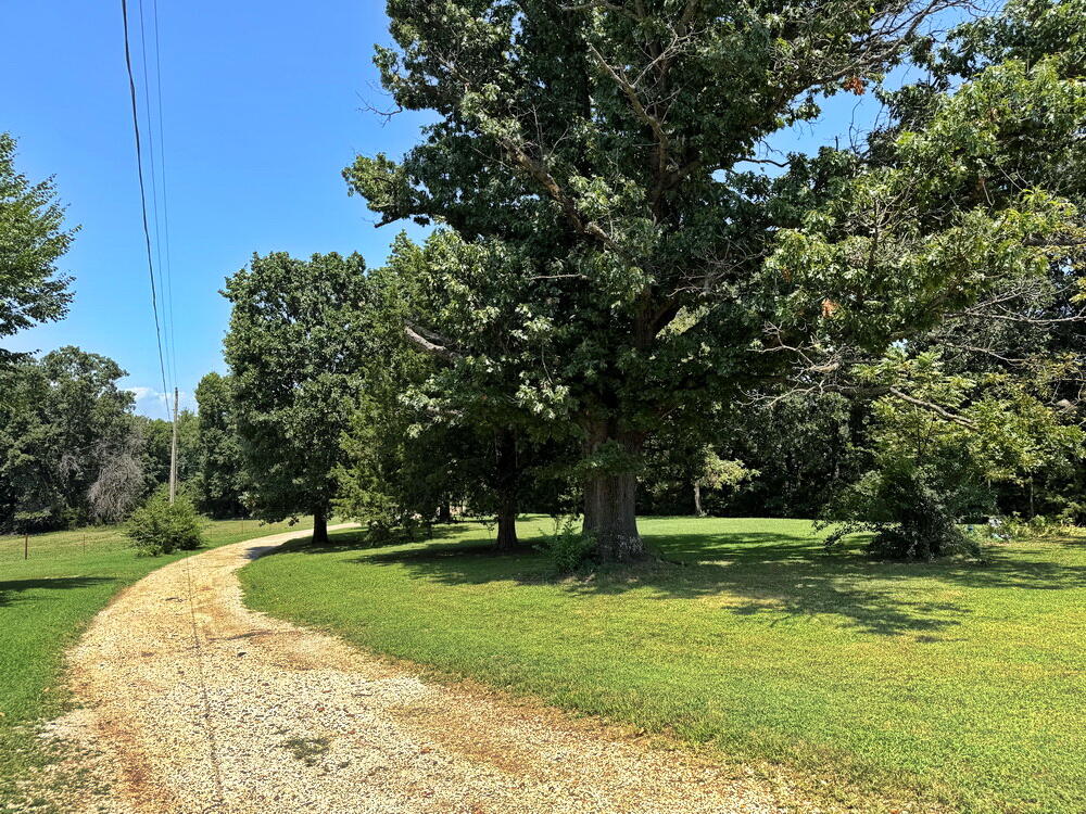 Photo 3 - Residential for sale – 1500 E 1800 Road  Jerico Springs, MO