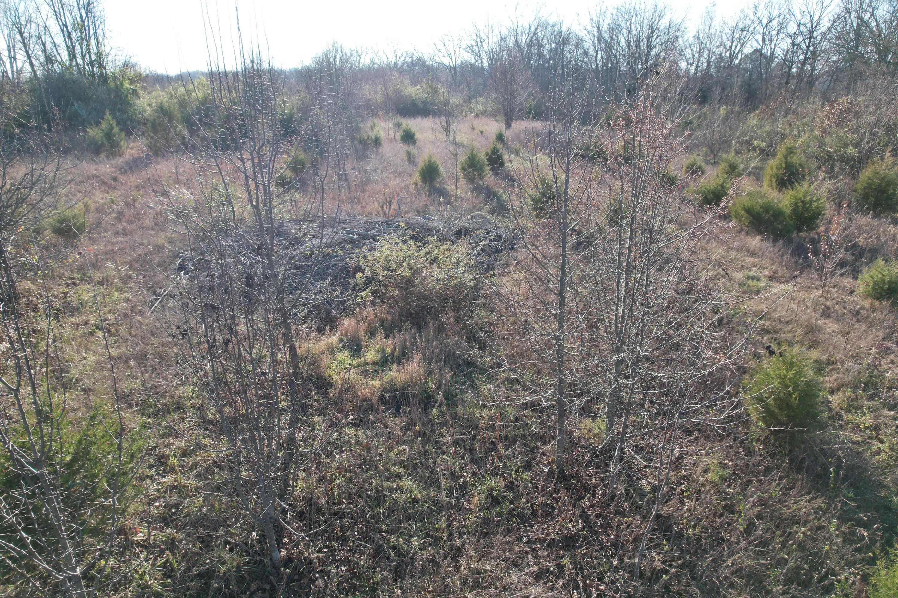 Photo 21 - Land for sale – 000  Highway 63   Pomona, MO