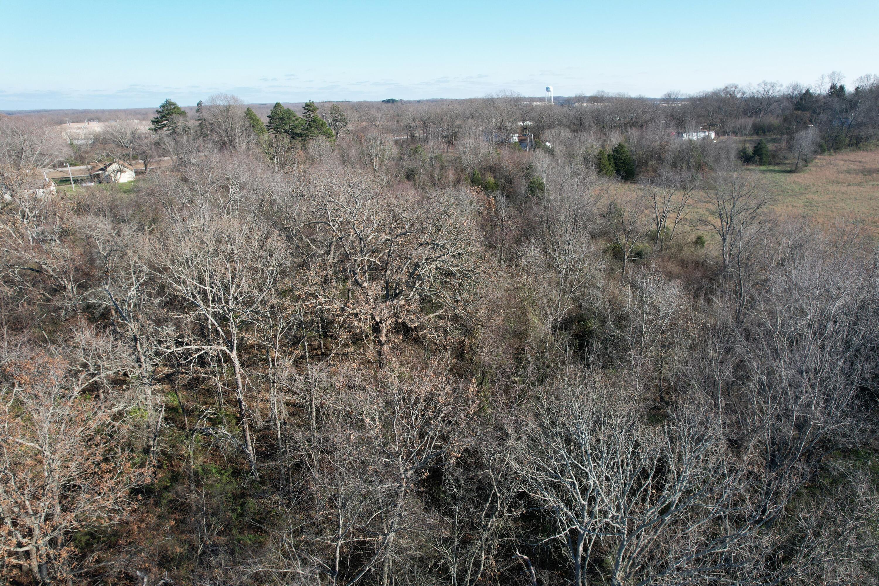Photo 4 - Land for sale – 000  Highway 63   Pomona, MO