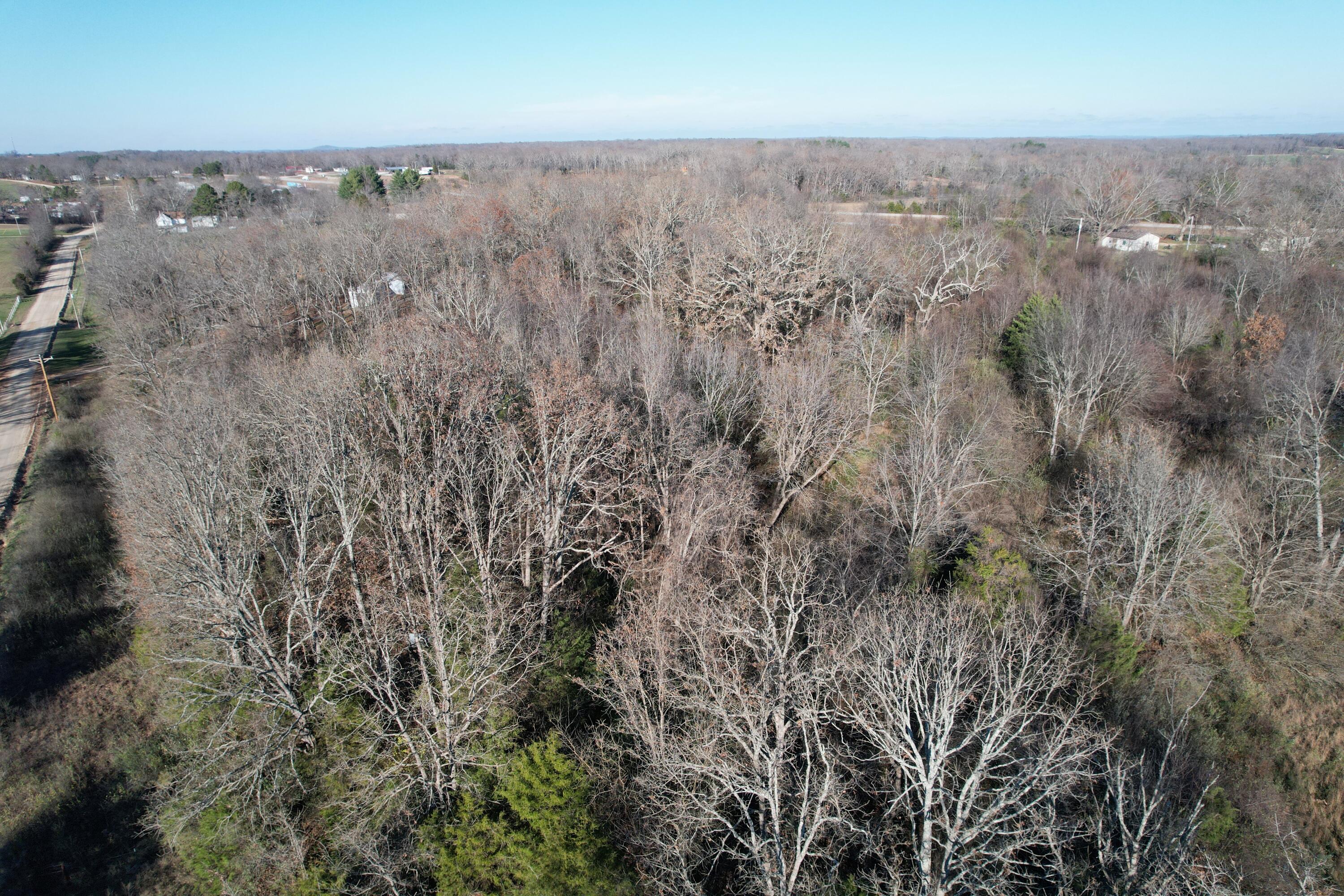 Photo 9 - Land for sale – 000  Highway 63   Pomona, MO